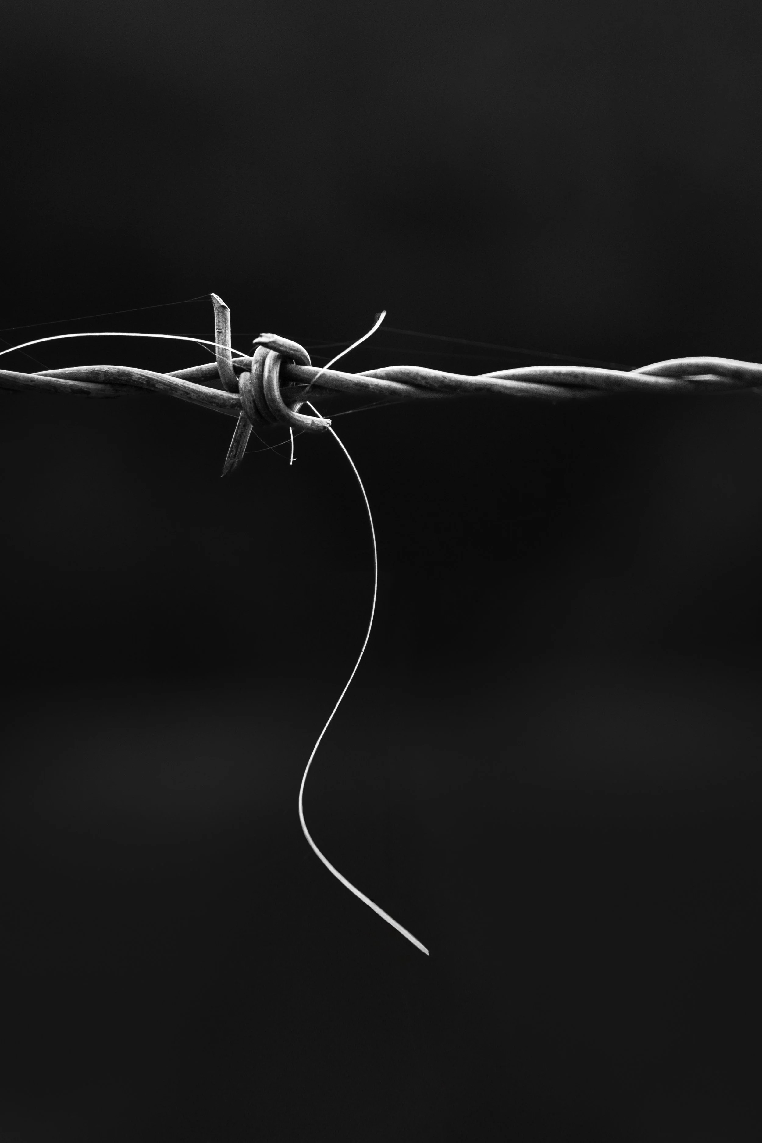 Karina Hechtl / Austria /  Vulnerable