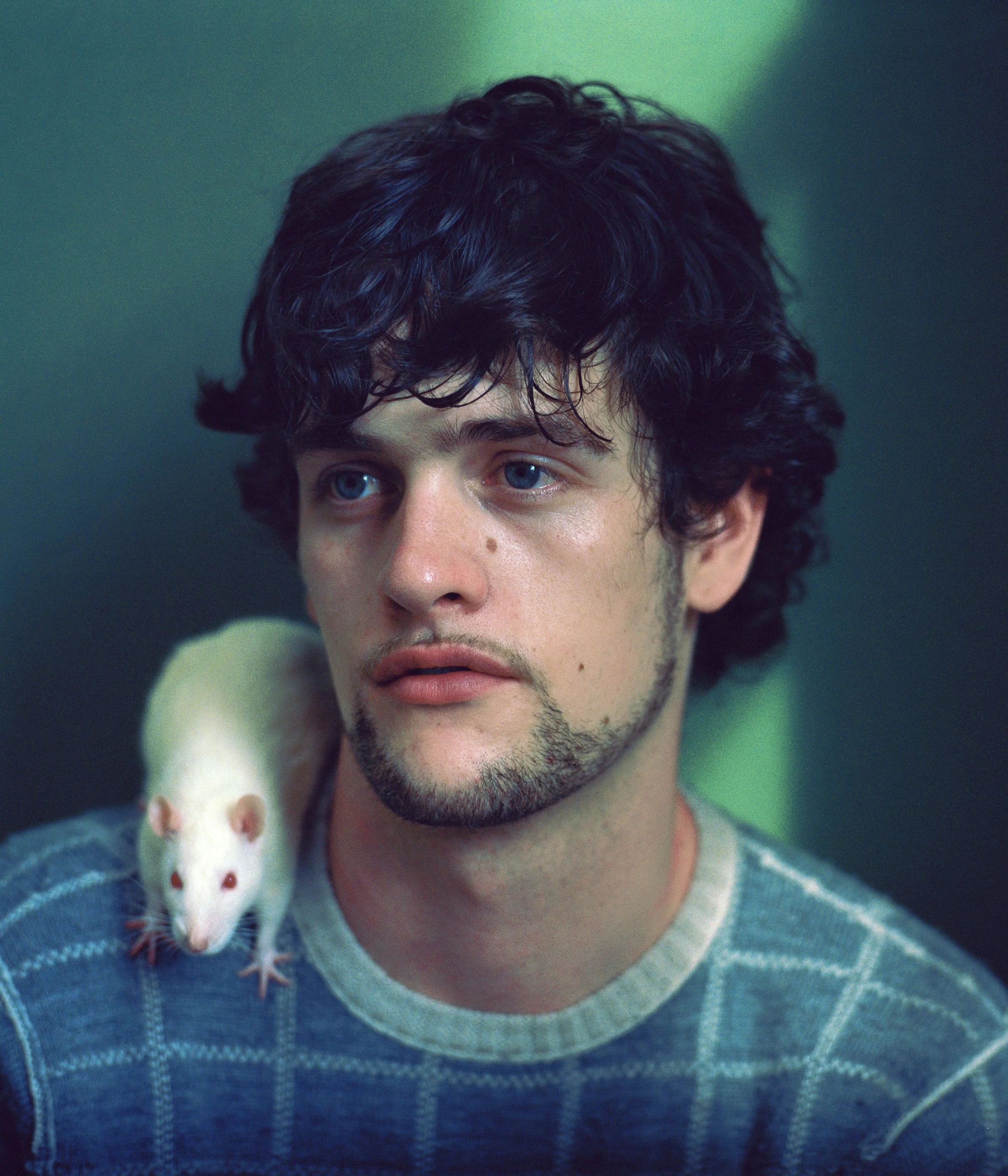 Charles Lu / United States / Beauty and the Beast