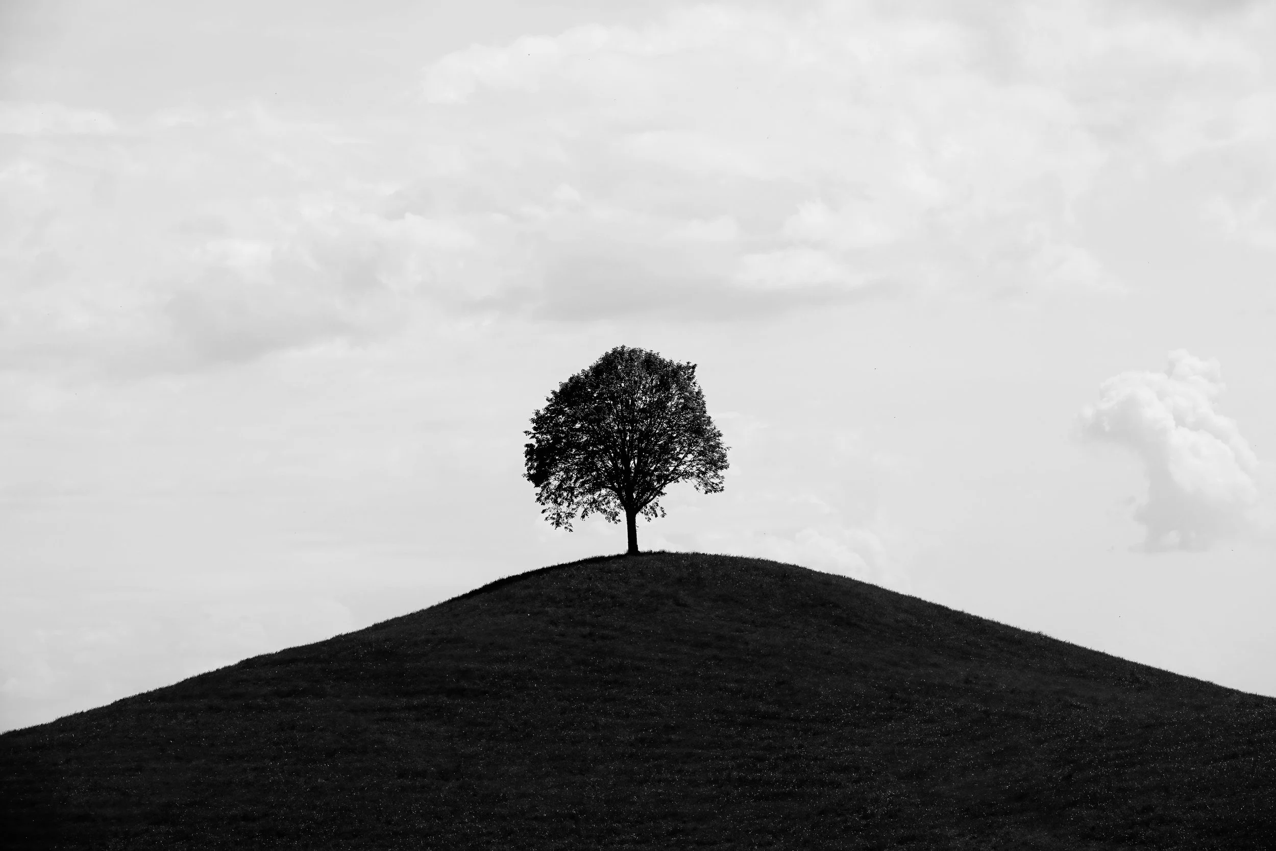 Thierry  Lagnel / Switzerland / Lonesome tree
