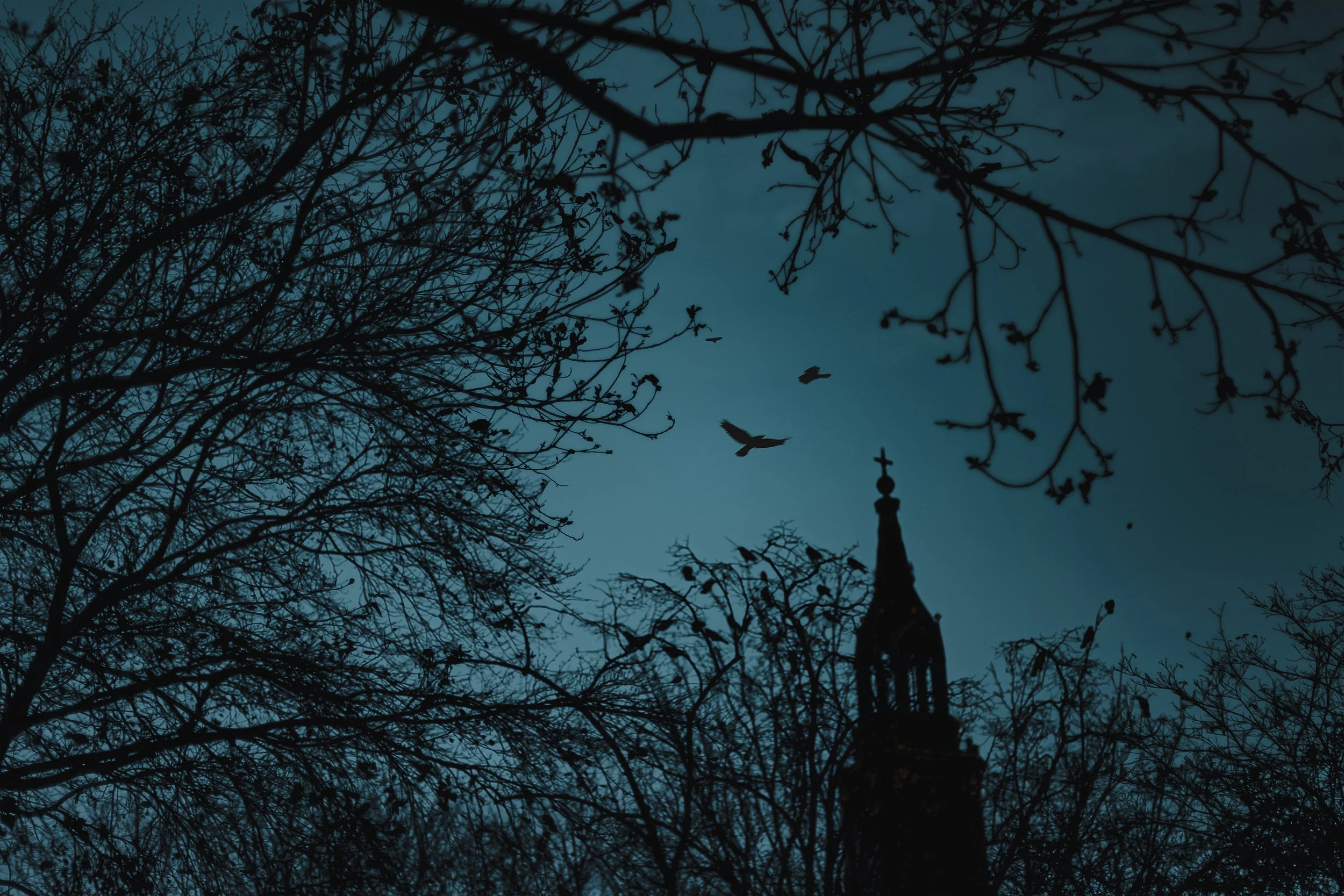 Pedro Castelhano / Portugal / ECHOES OF FREEDOM Nº1