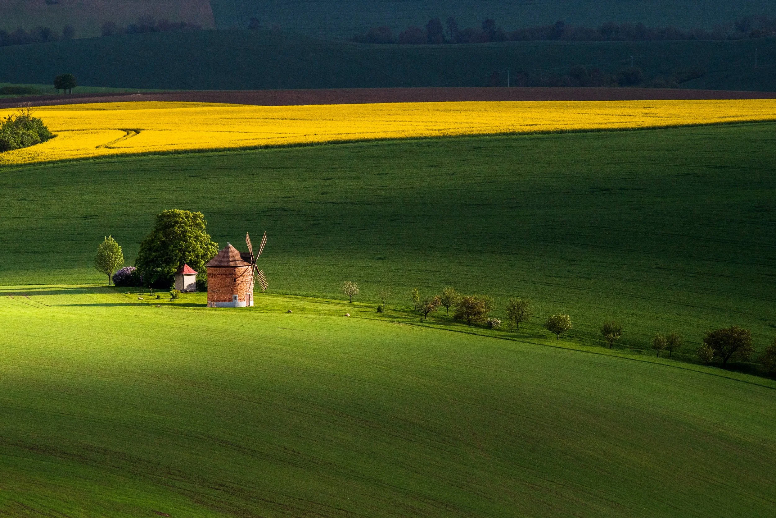 Oleksii Samoilenko / Germany / Chvalkovice Windmill, Czech Republic