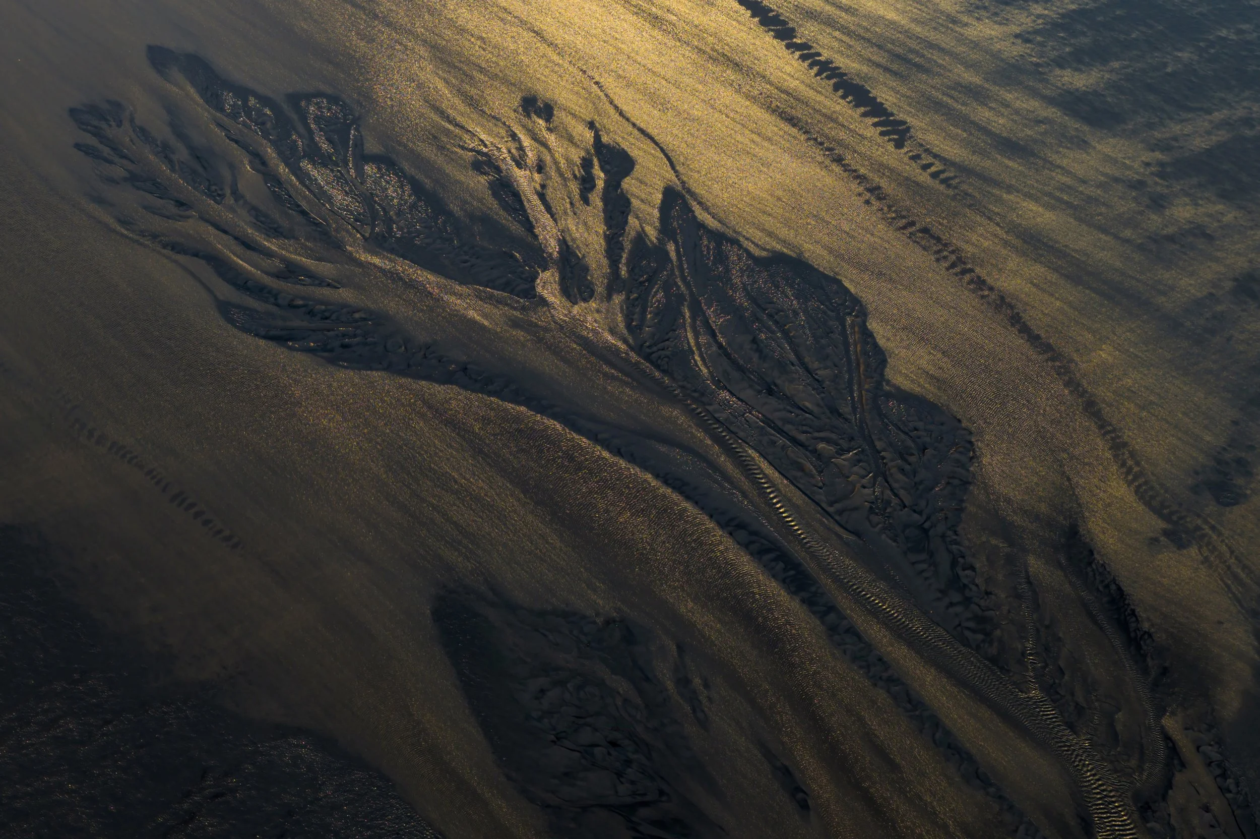 LINGYI MENG / China / Tide Tree 1