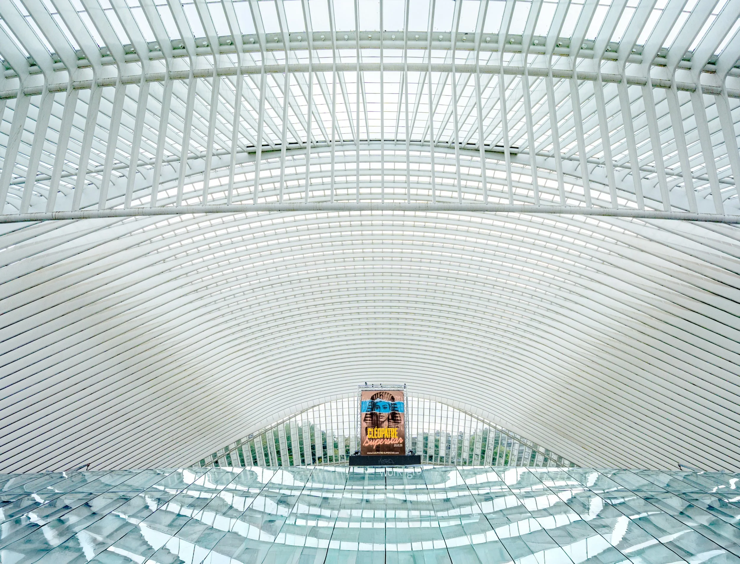 DAMASO AVILA / Spain / CLEOPATRA