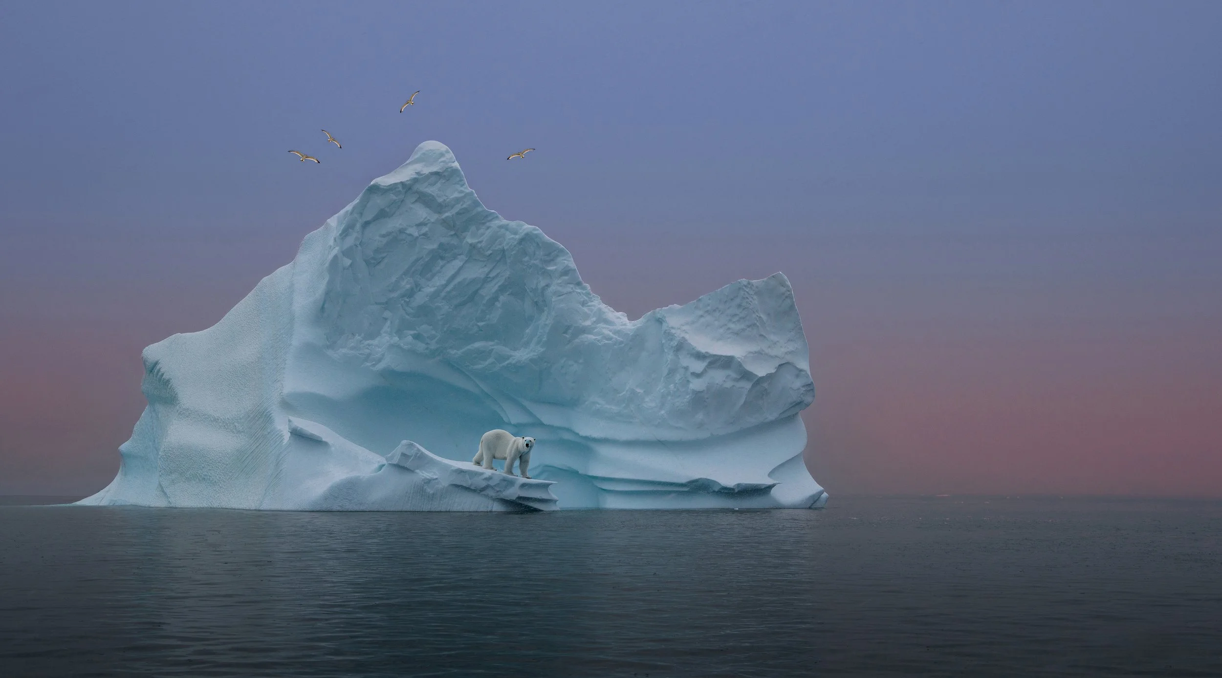 Matthias  Ennenbach / Germany / Wonderful cold morning in Greenland