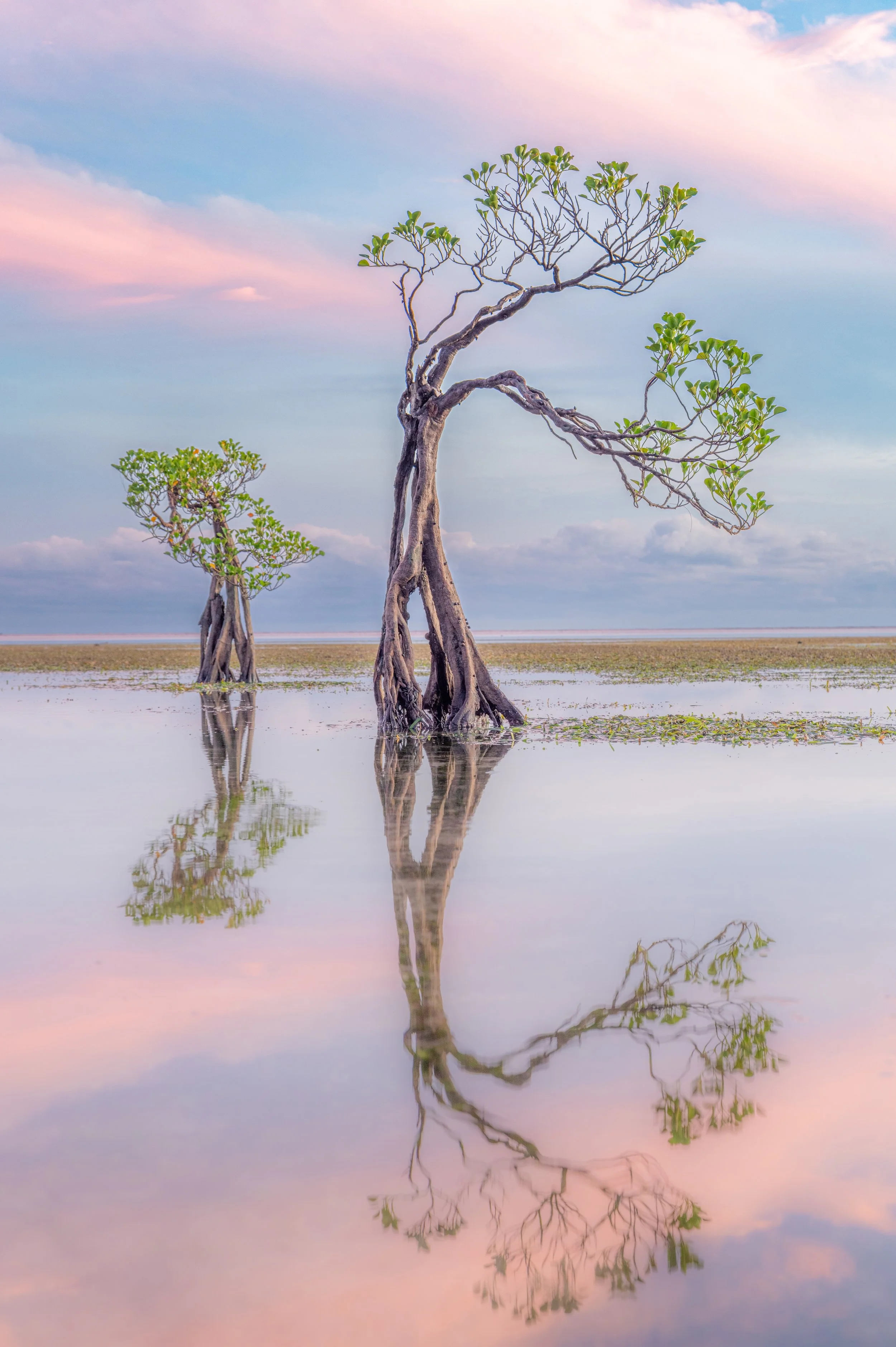 thibault gerbaldi / United States / A Silent Choregraphy.