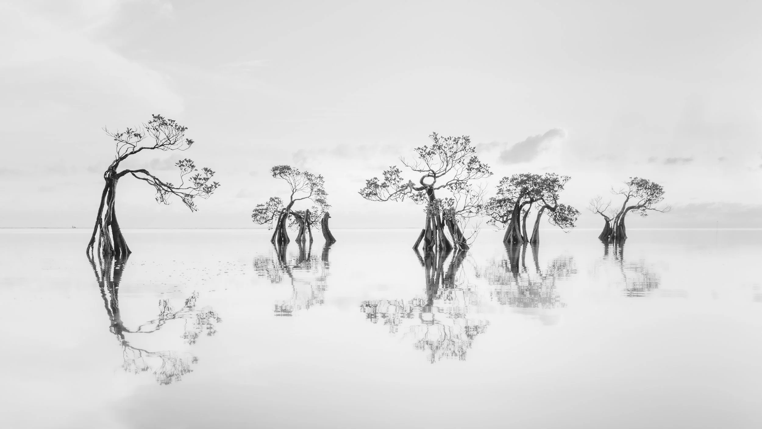 thibault gerbaldi / United States / Silent Choregraphy