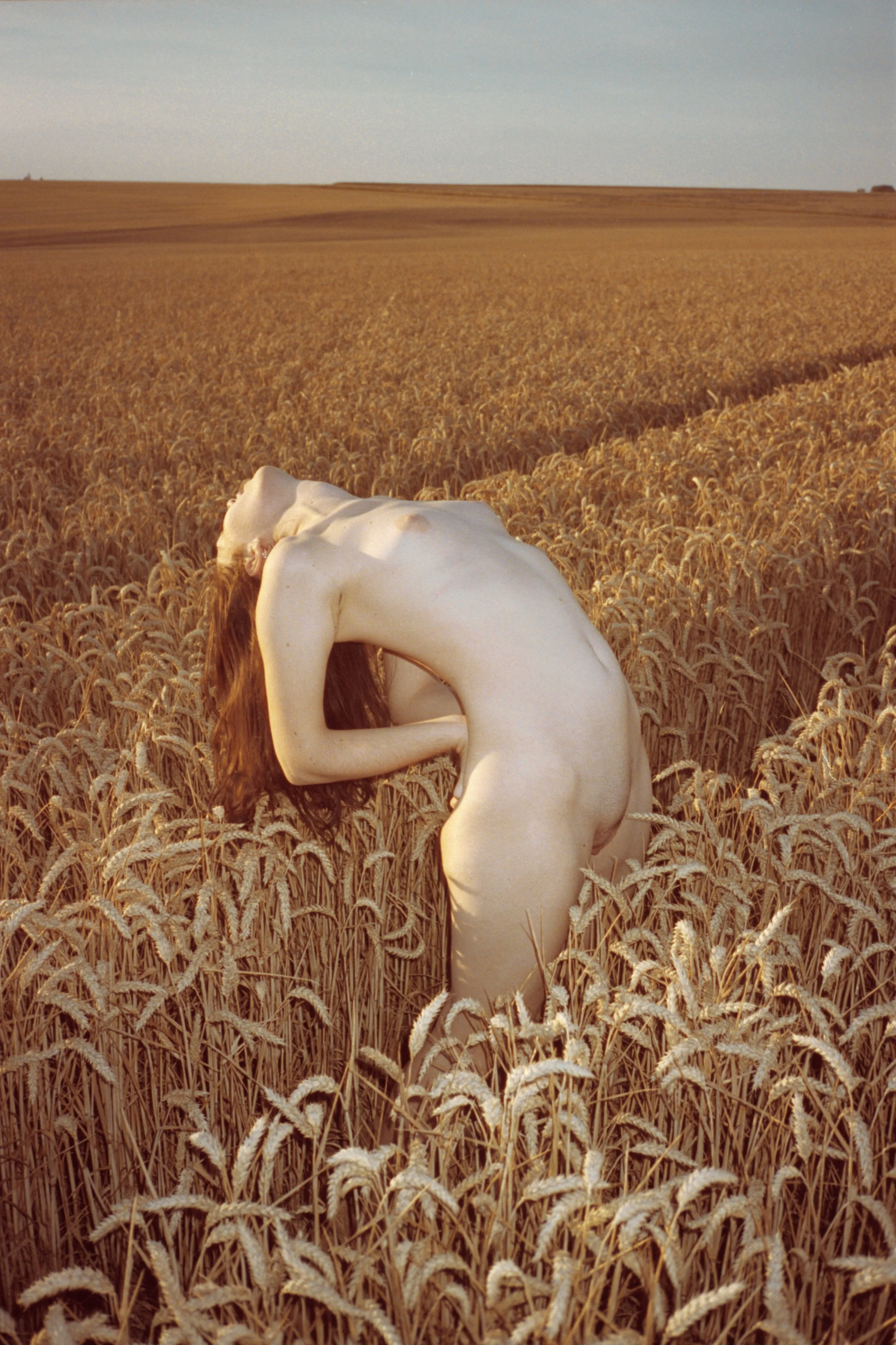 Charles Lu / United States / Yield