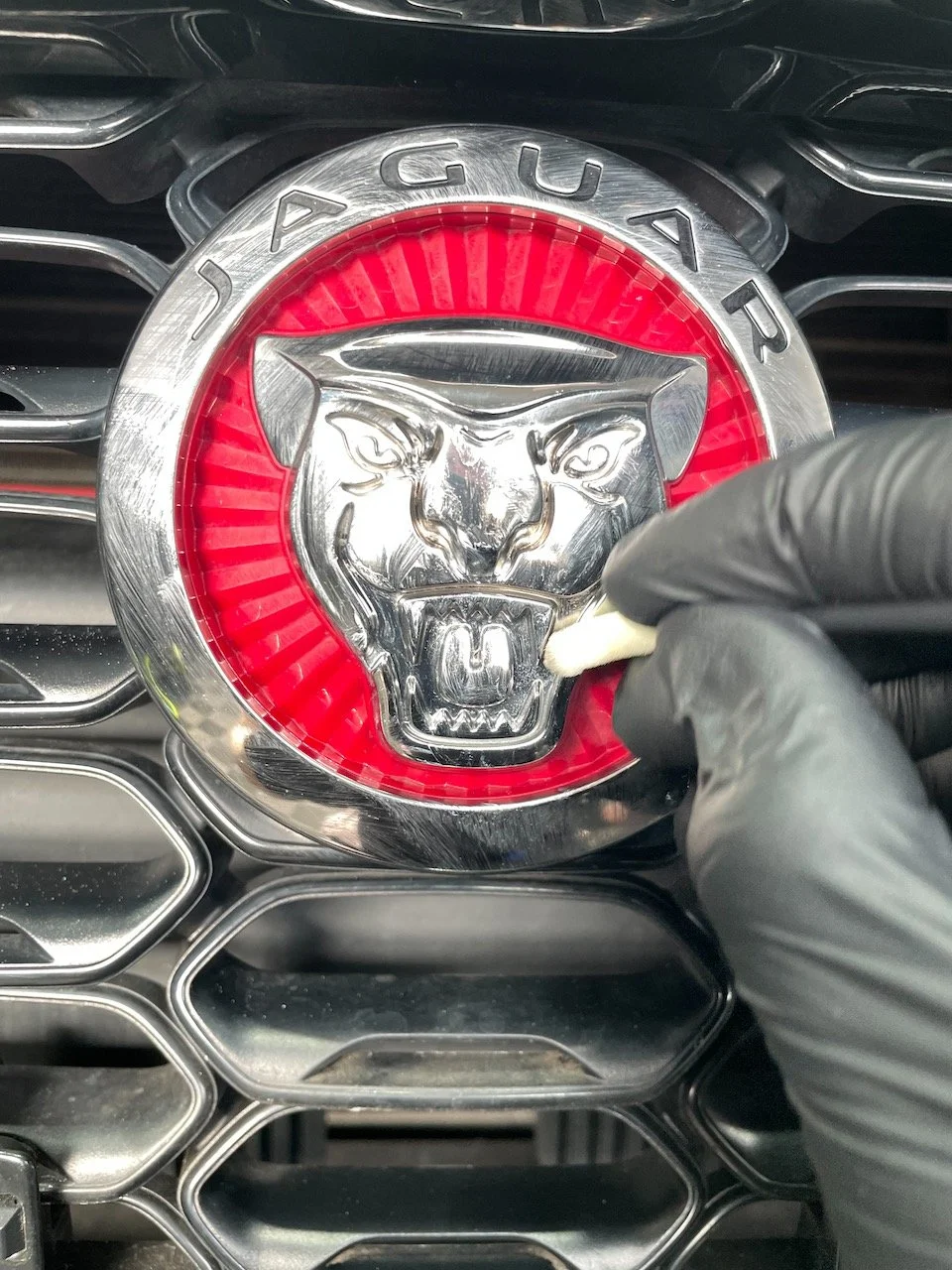 Handpolitur des Jaguar-Emblems im Wabengrill des F-Type mit Pinsel und Poliermittel