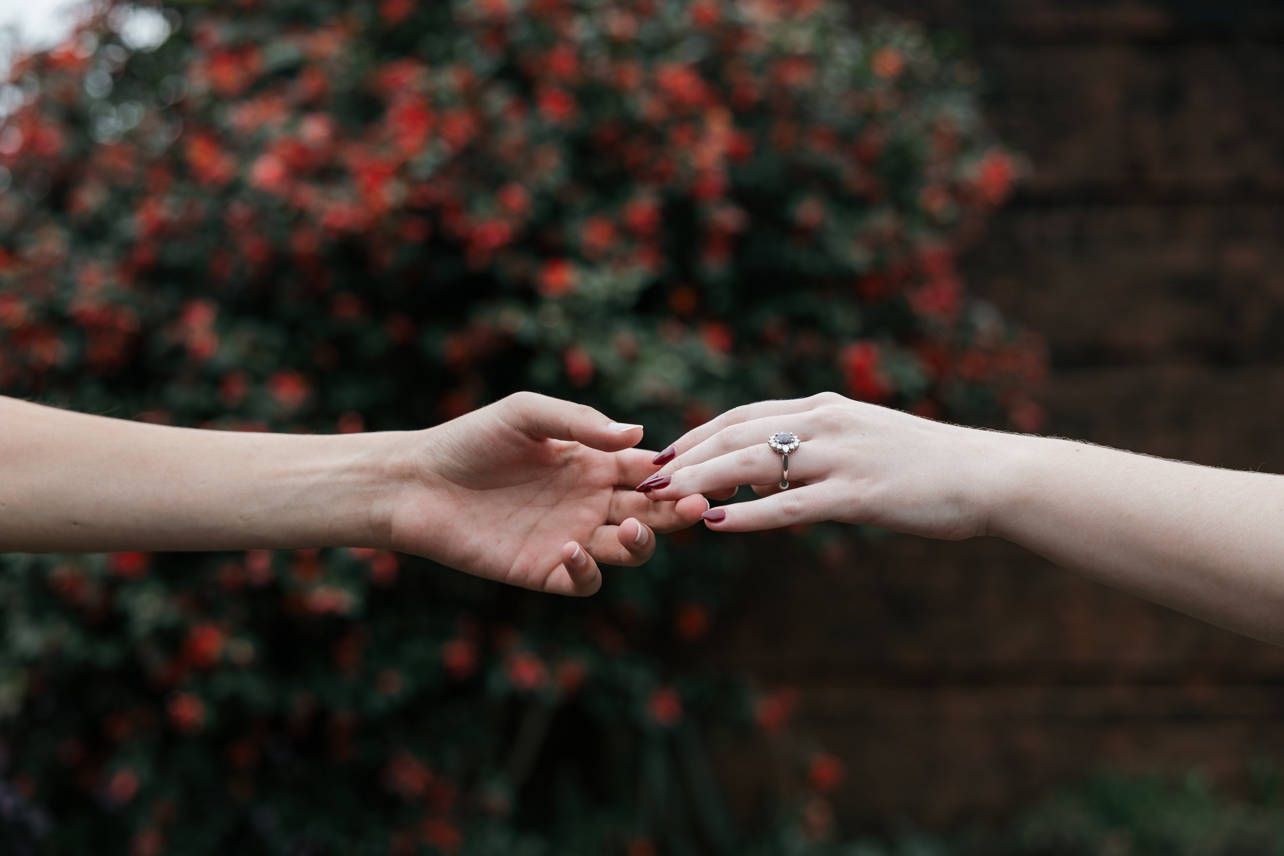 ReaganJacksonEngagement_112024_StaborStudios-55.jpg