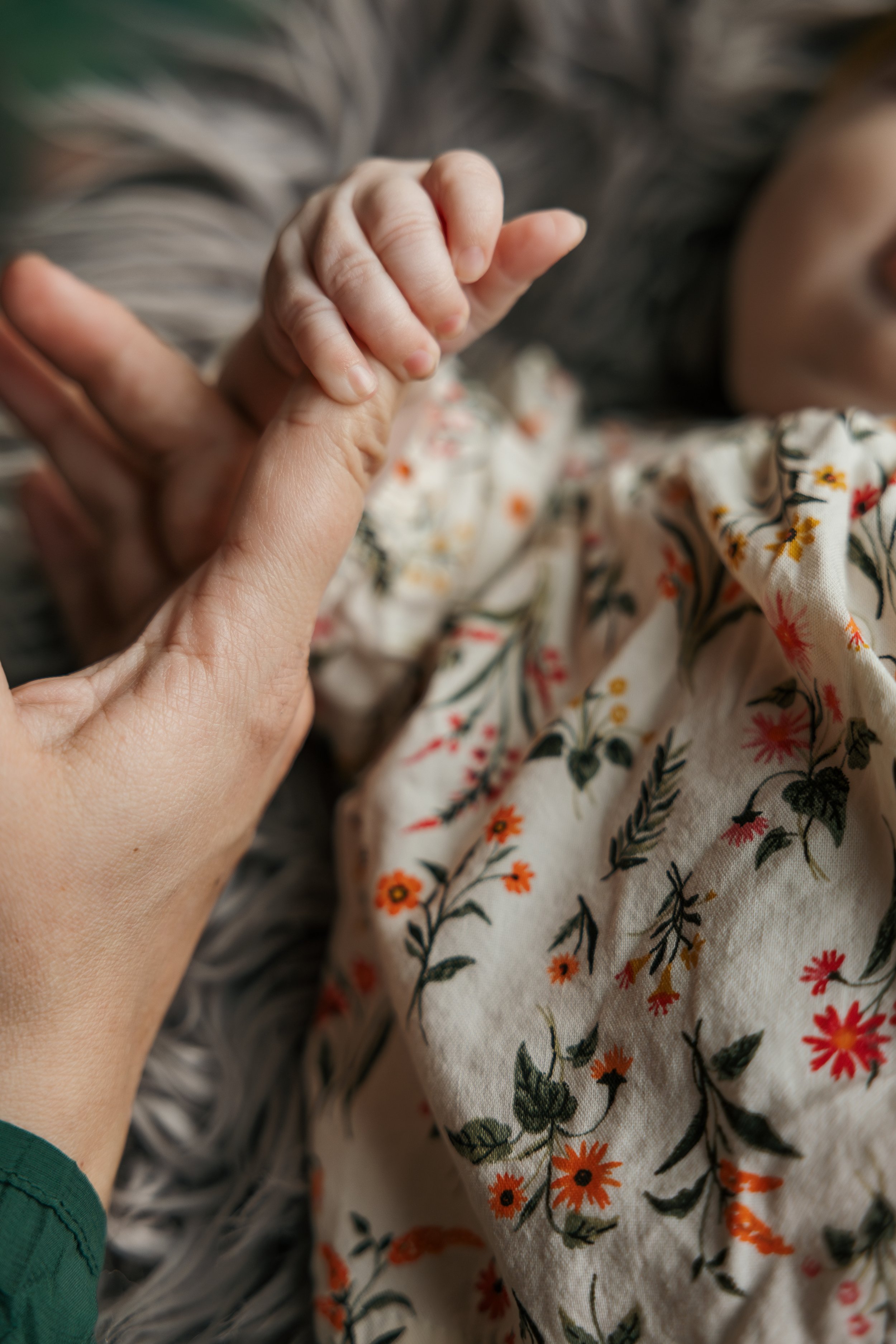 DaphneJeanNewbornPortraits_122024_StaborStudios-17.jpg