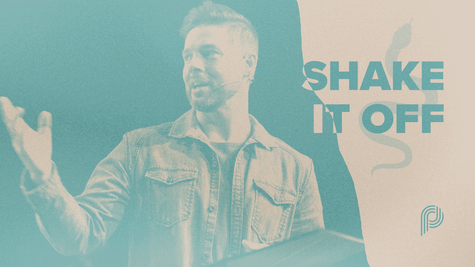 Shake it off thumb.jpg (Copy) (Copy)