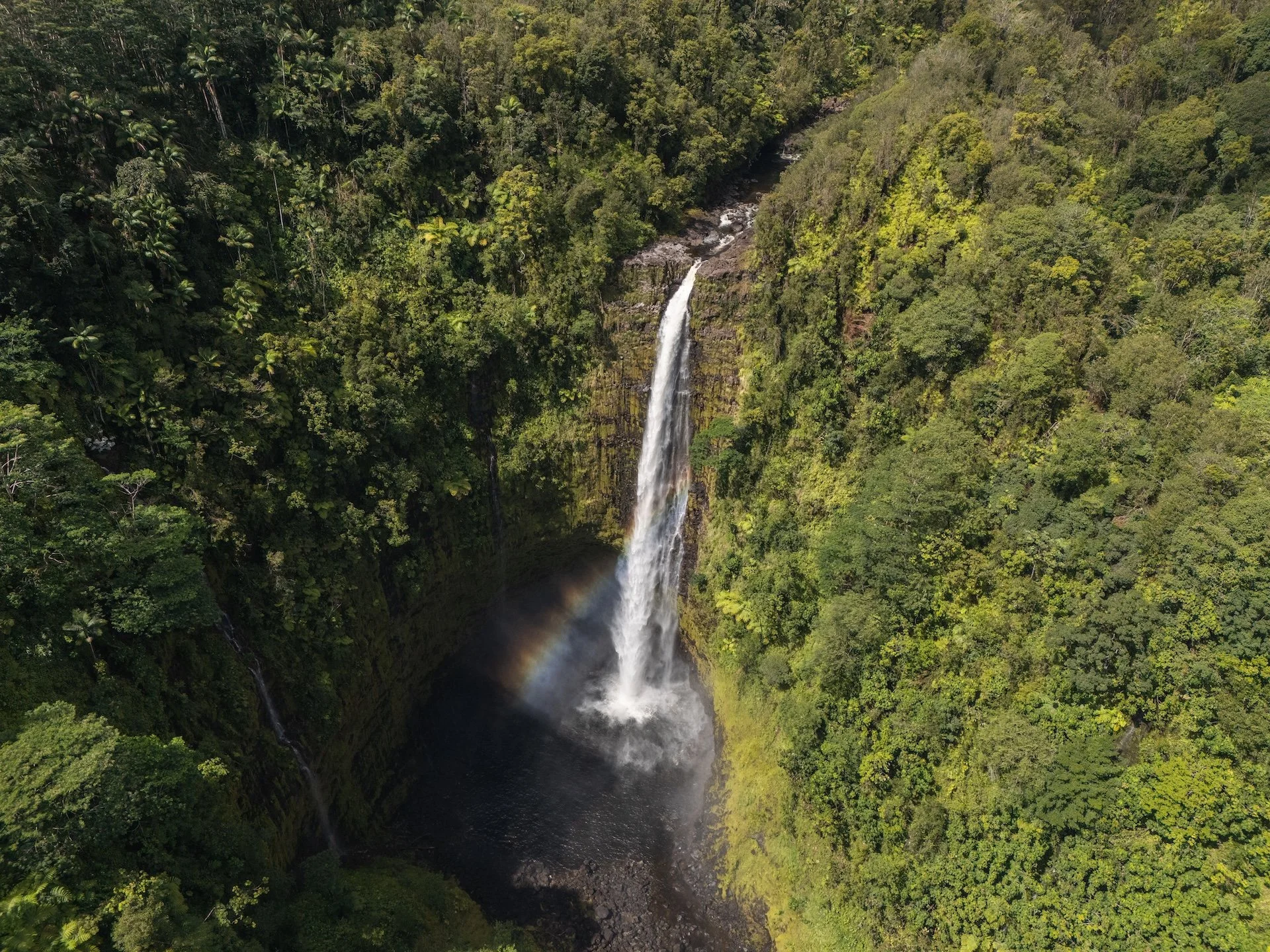 Aerial view of a tall waterfall cascading down into a pool surrounded by dense tropical forest.