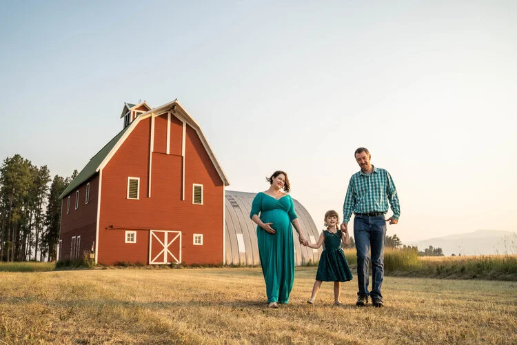 A family of three standing in a field near a red barn. The woman is pregnant and wearing a long green dress, the man is in a plaid shirt and jeans, and a young girl in a blue dress is between them. It's a sunny day with trees and a metal barn in the