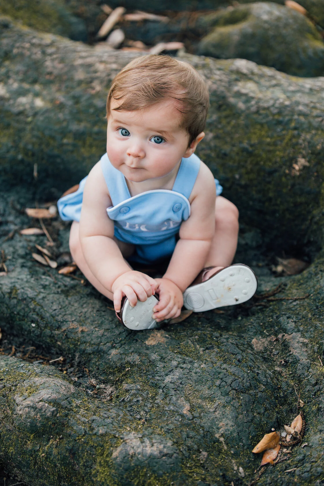 Baby in blue outfit sitting on tree roots outdoors.