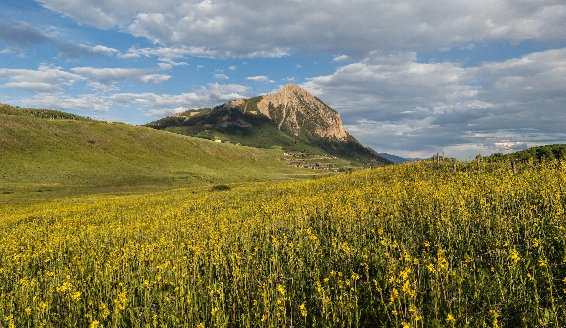 A scenic landscape with a mountain in the background, green hills, and a field of yellow flowers in the foreground, under a partly cloudy sky.