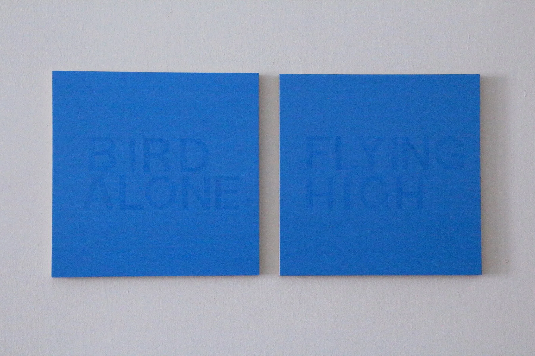 Bird Alone, 2012 
acrylic on wood 
12 x 24 inches 
Exhibited in Never Underestimate a Monochrome. University of Iowa Museum of Art (online), Iowa City, Iowa.