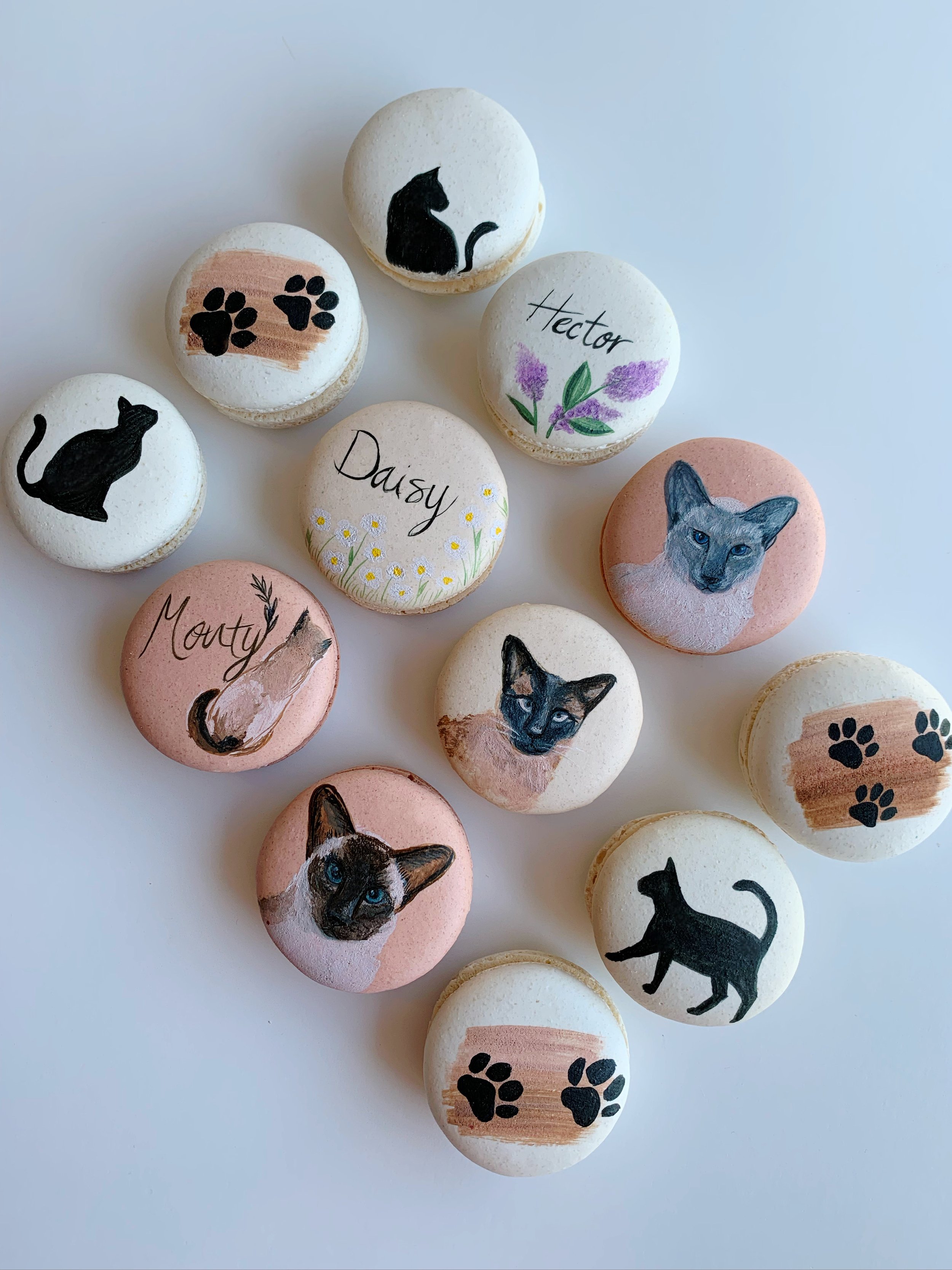 Kitty Cats