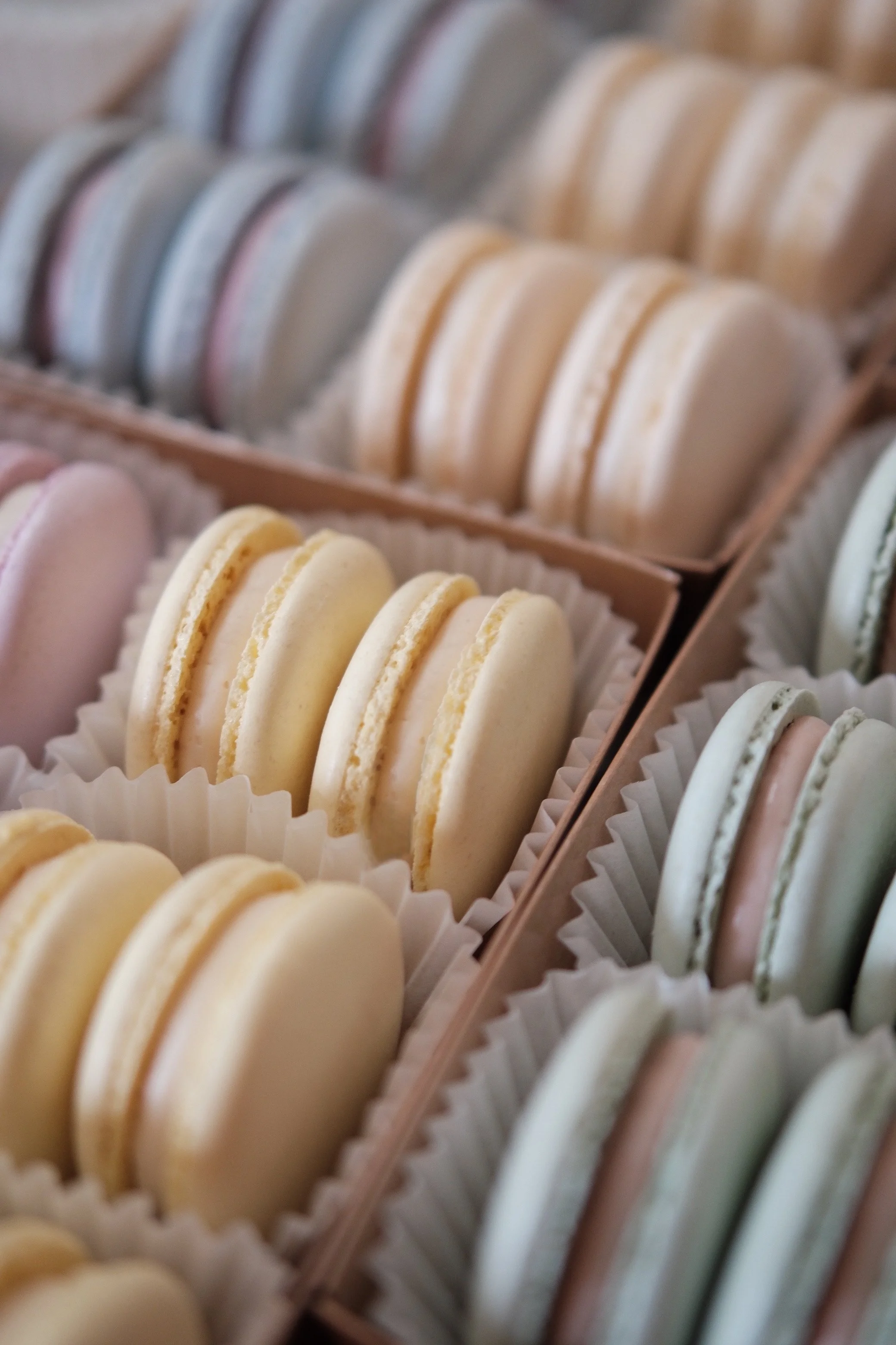 Frankie's Favorites Macaron Box