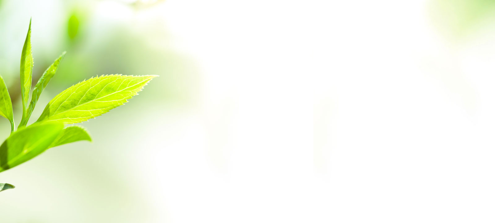 Privacy Policy 1 — Tp Massage Envy Inc 04/2023