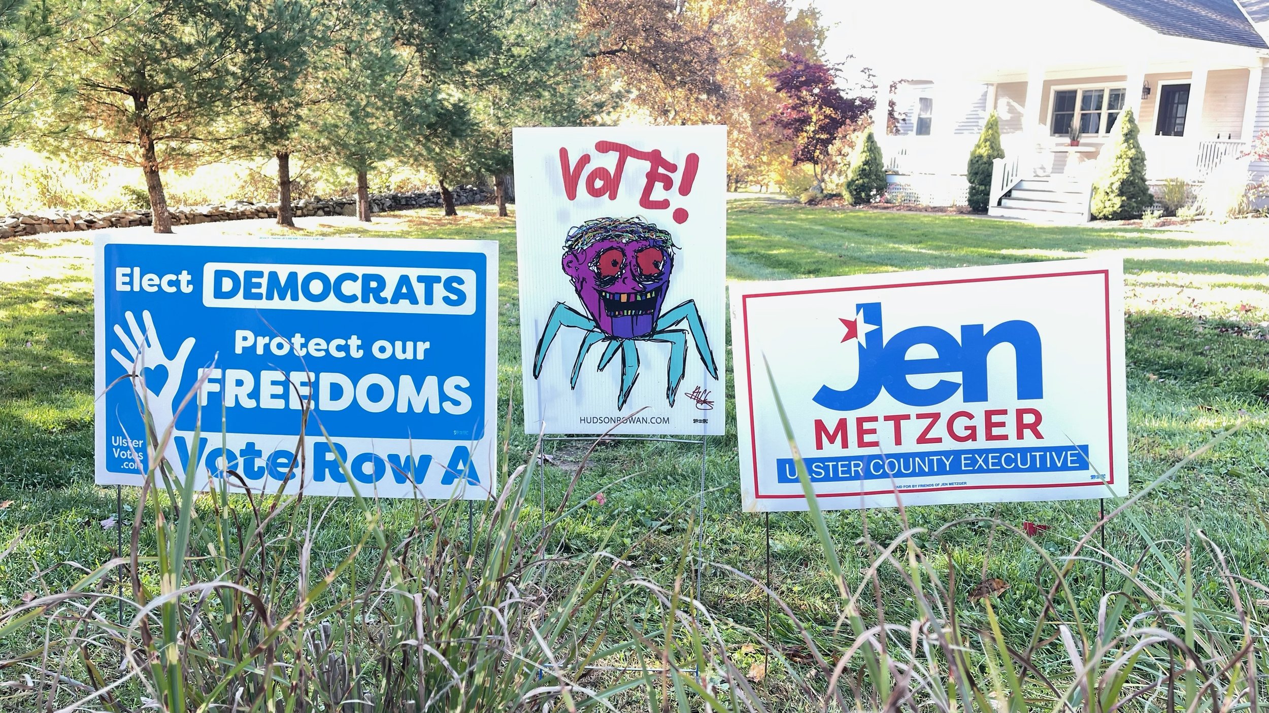Vote Dem (1).jpg