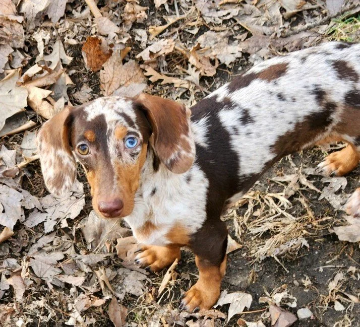 IMG_20230111_133629 (2).jpg