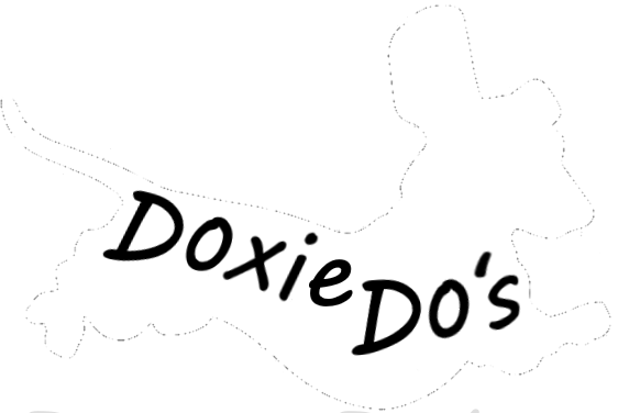 Doxie Do&#39;s miniature dachshunds