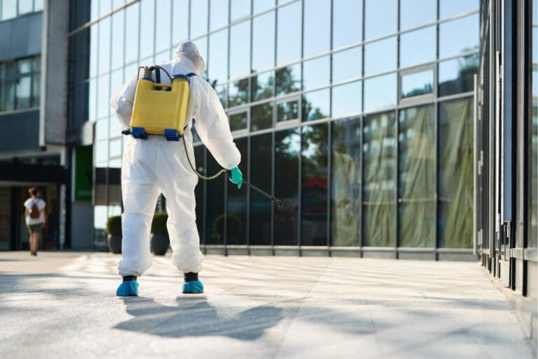 Best Commercial Pest Control Company: For a Safer Workplace