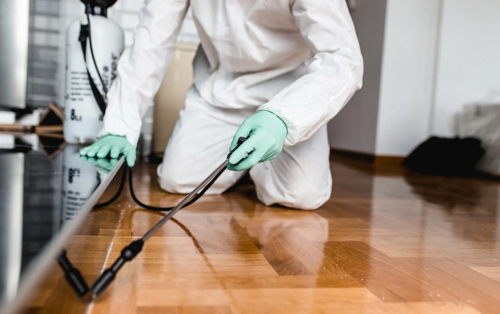 pest-control-st-catharines