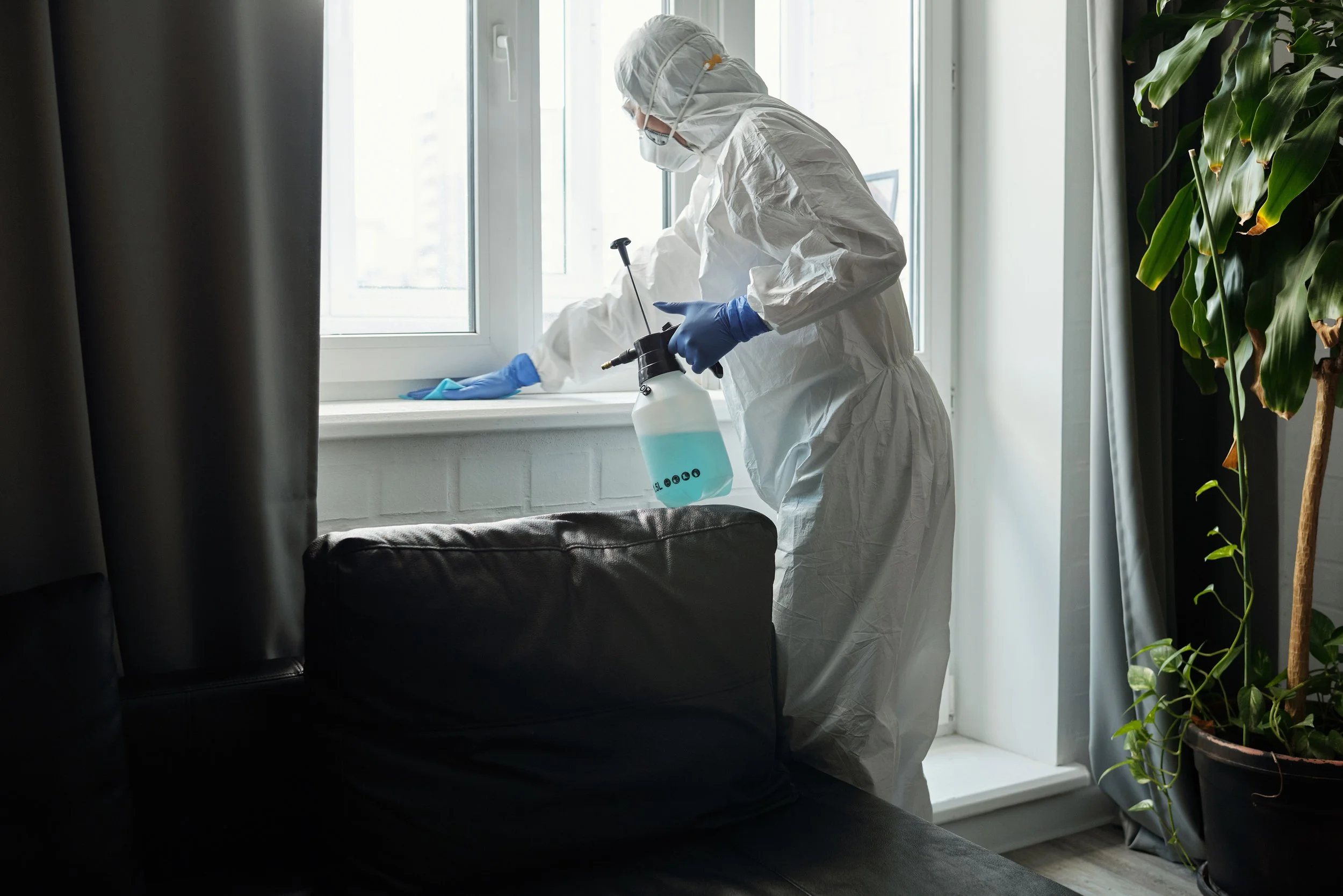 pest-control-hamilton
