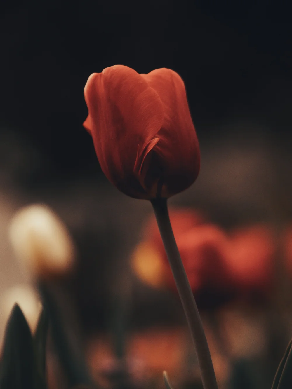 N°10 — Photographic print