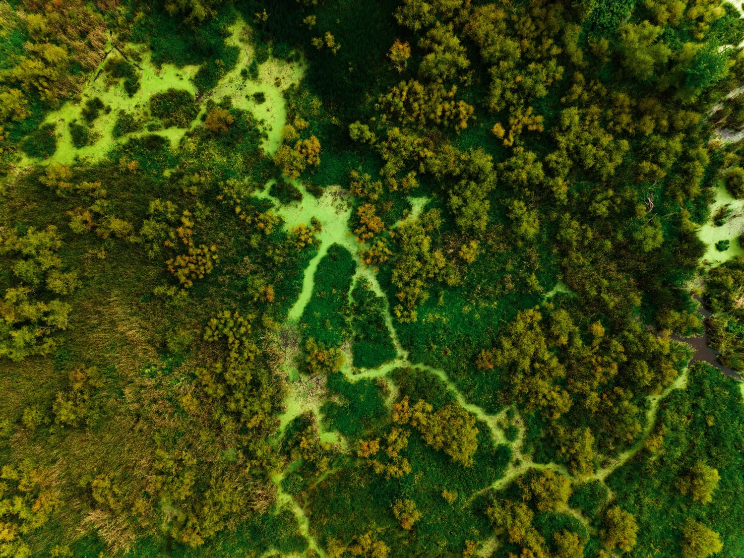 Cover image for Best Drones in 2026, a creator video by Djassem