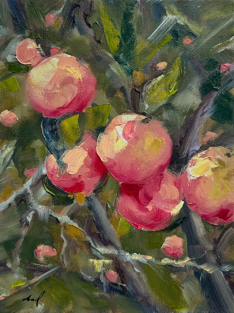 Grapefruit 2.jpg