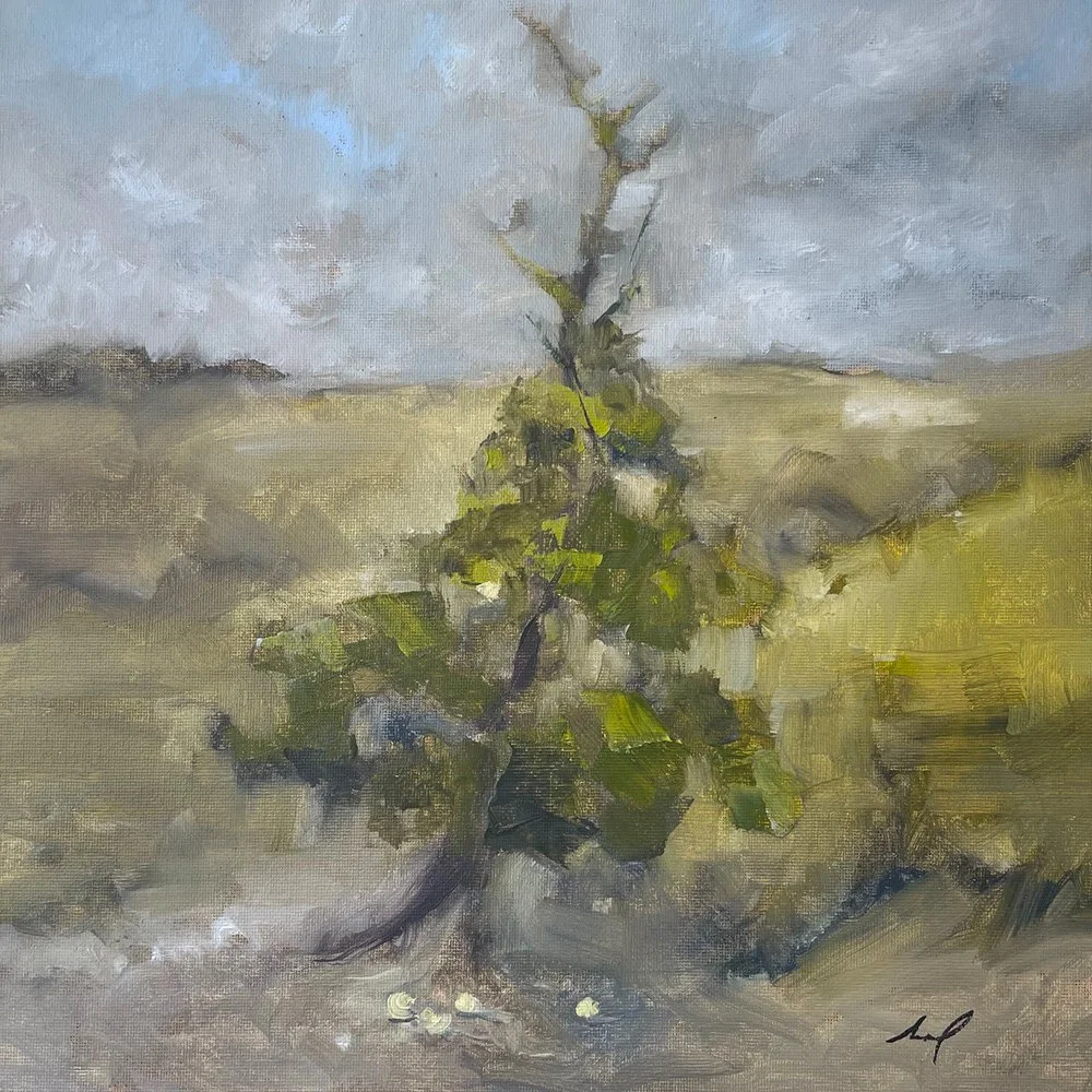 Golden Delicious Study 12.jpg