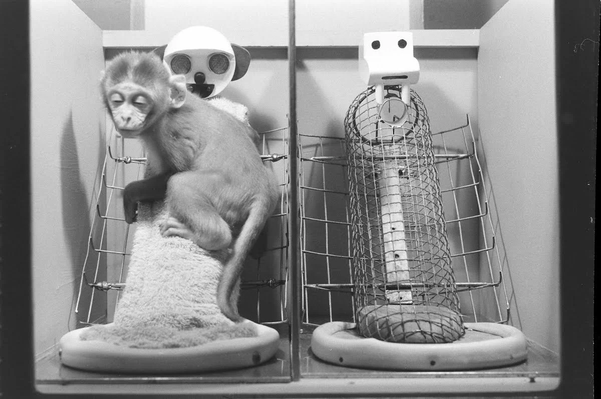 Mini 16: Harry Harlow’s Experiment