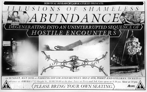 IllusionsShamelessAbundance.jpeg