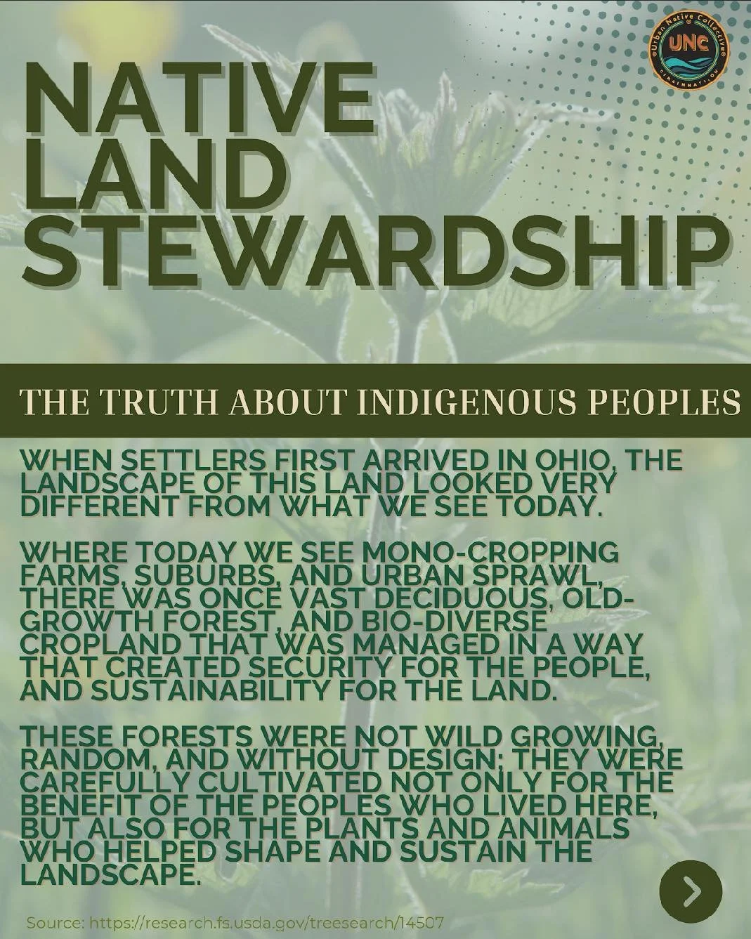 Indigenous Peoples have cared for the land that we stand on since time immemorial.
The plants, foods, and medicines that are native to this area did not come about by random chance, but by careful stewardship and cultivation by Indigenous hands and m