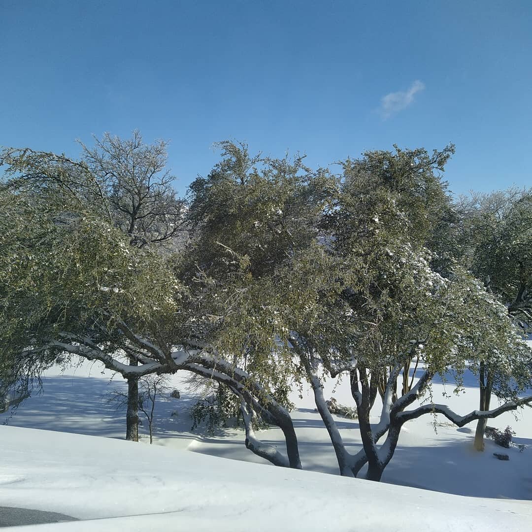 Day 6 of this winter wonderland. Power back on after 49 hours, at least for now. Kitchen thermostat this morning - that's +3&deg; C! Not sunny now. We're getting more freezing rain at the moment. Pool isn't very happy. Oh well, first-world problem.

