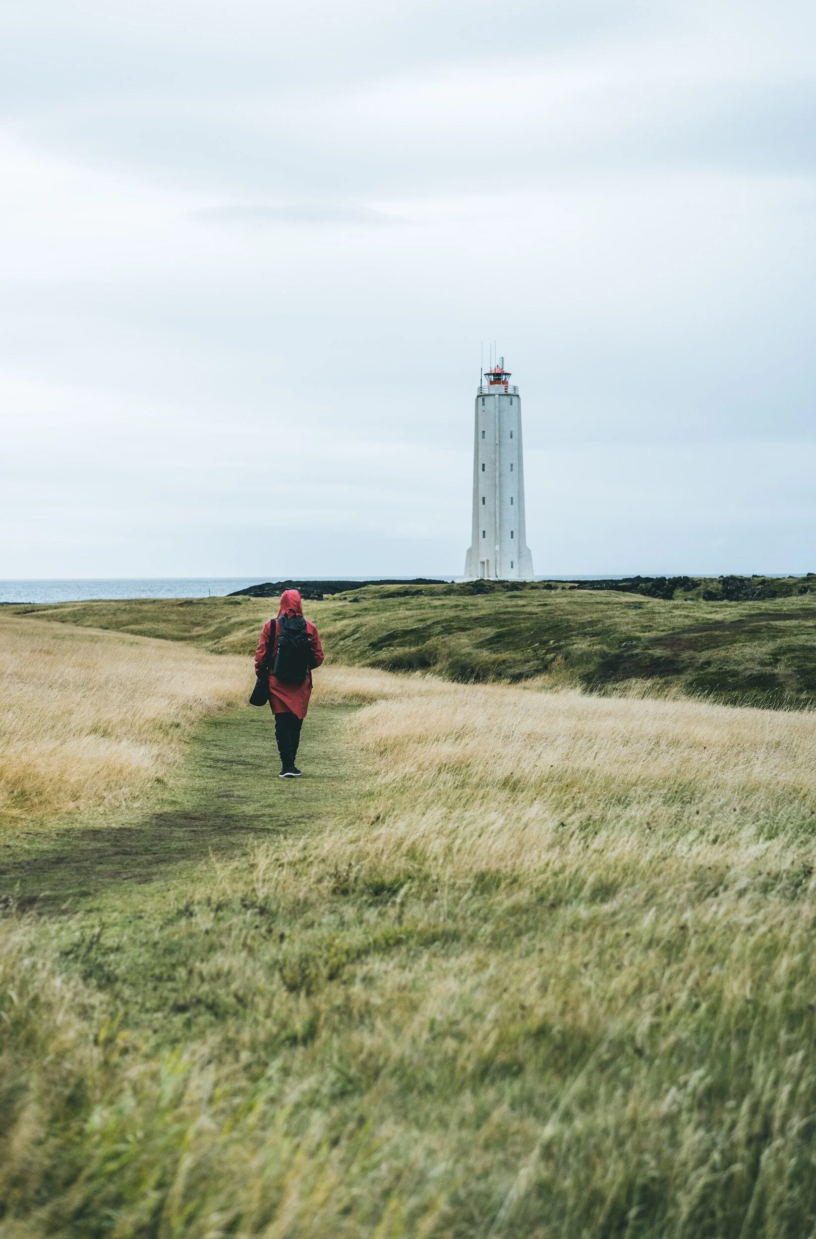 Grass isn't always greener on the other side.  Person walking in a field.