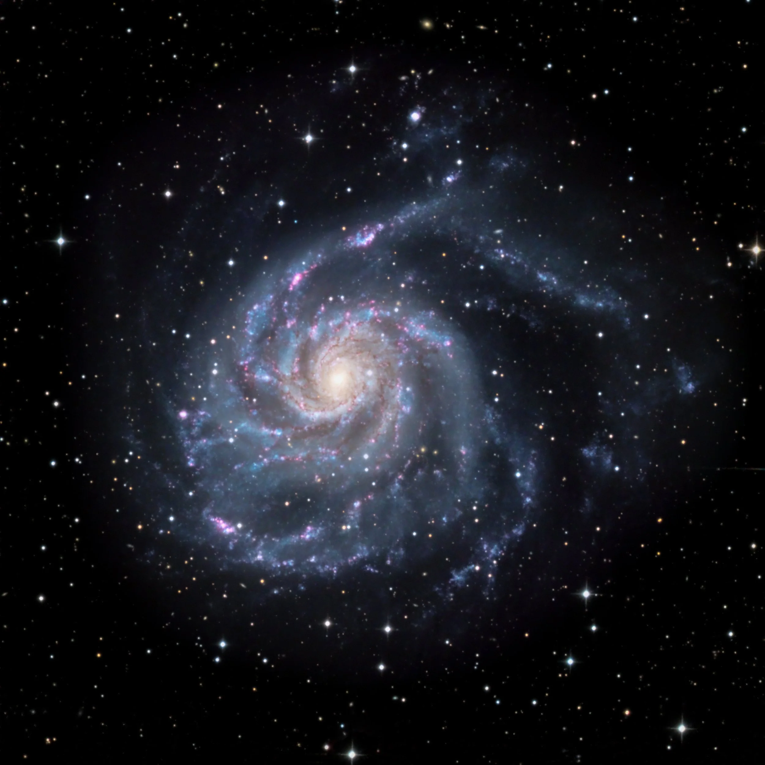 M101 The Pinwheel Galaxy.jpg