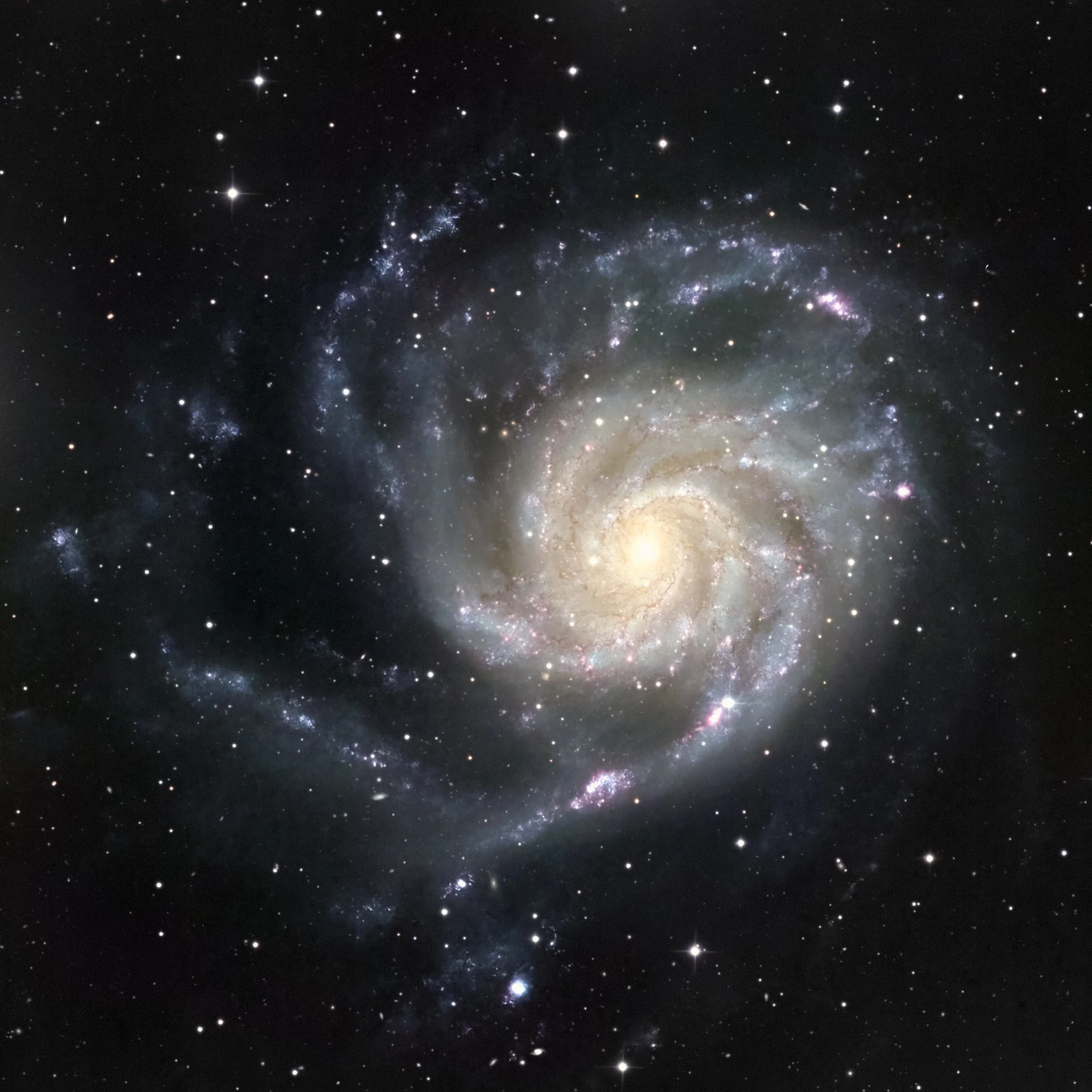 M101 the Pinwheel Galaxy with Supernova SN2023ixf.jpg