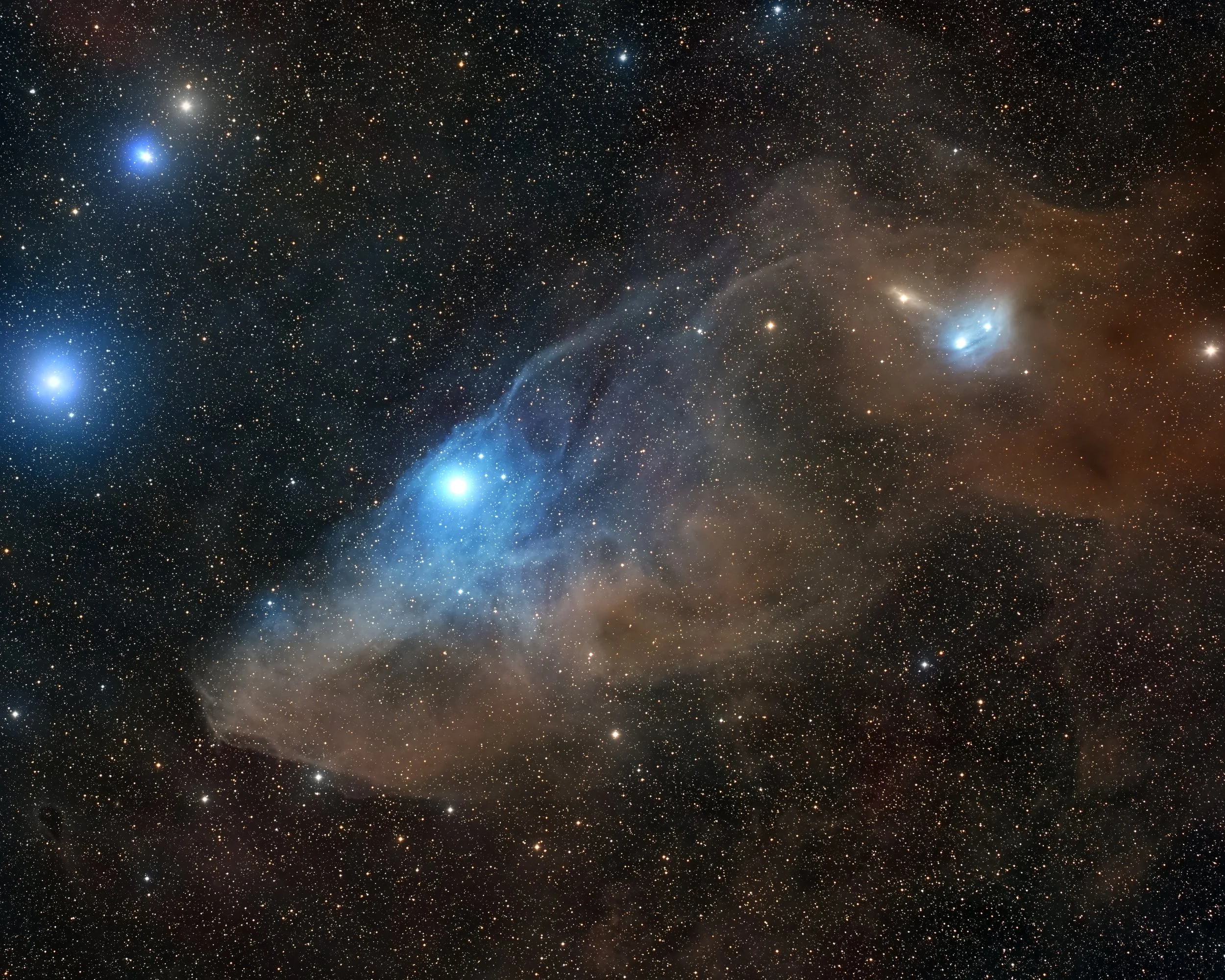 IC 4592 The Blue Horsehead Reflection Nebula.jpg