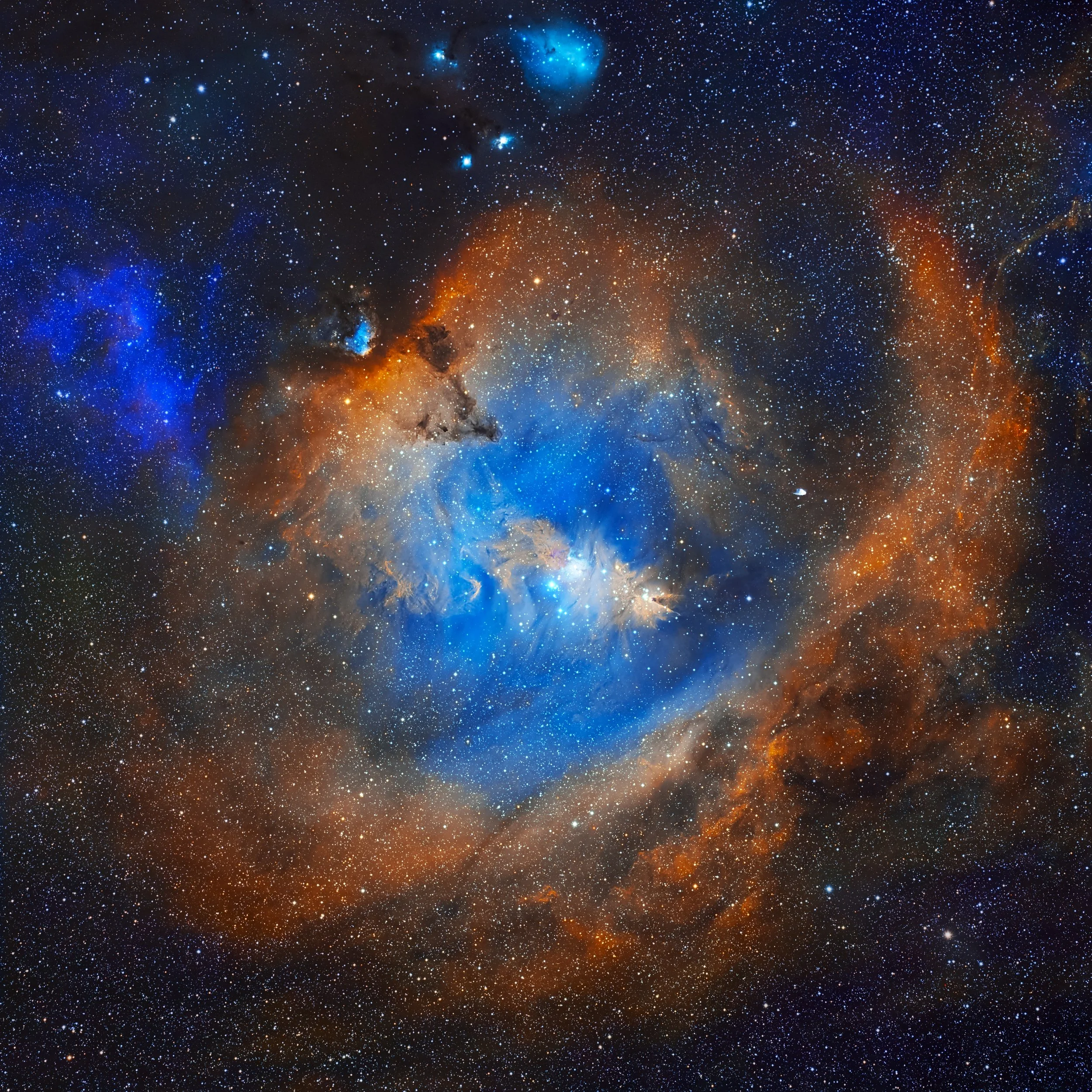 NGC 2264 The Christmas Tree Cluster.jpg