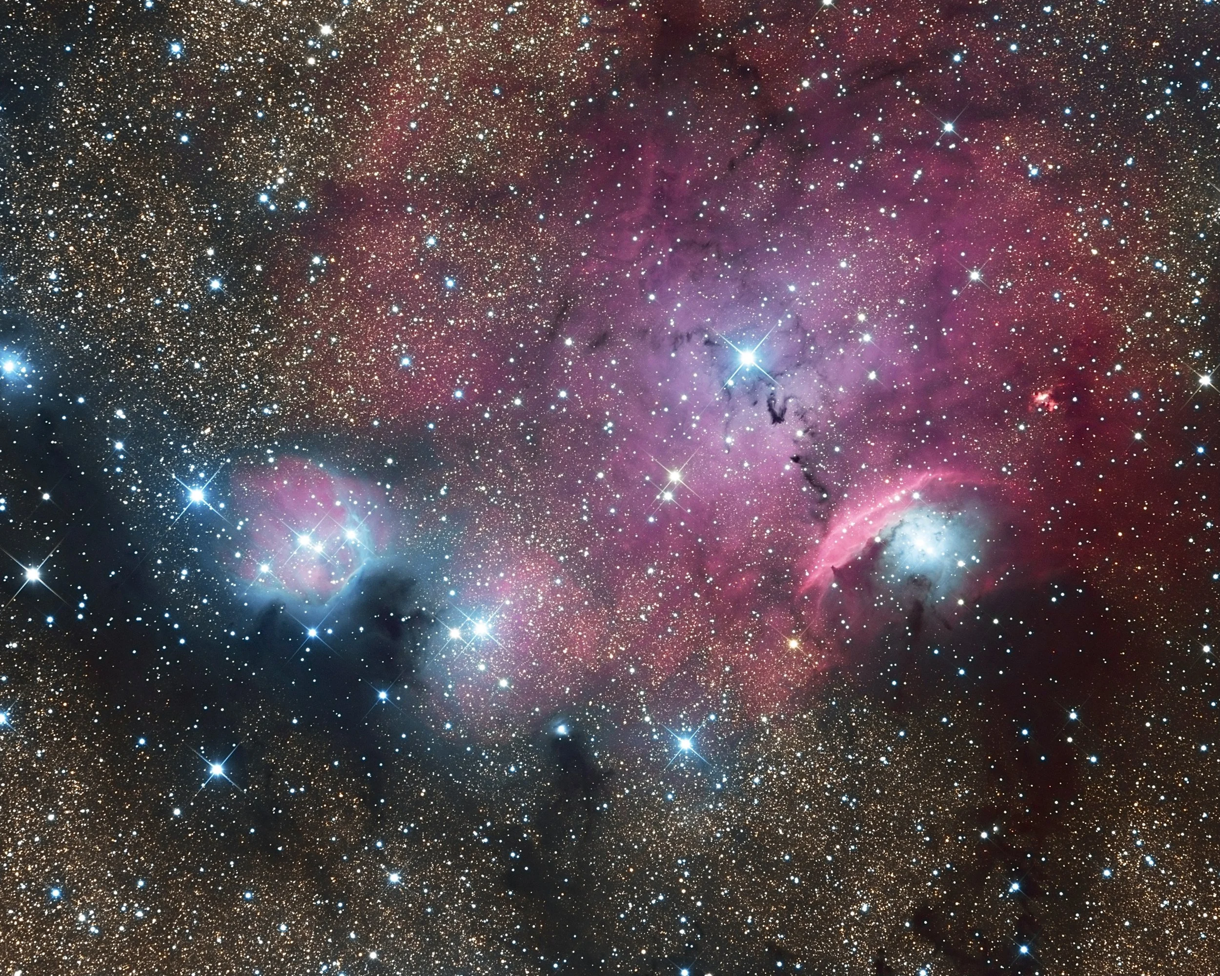 NGC 6559.jpg