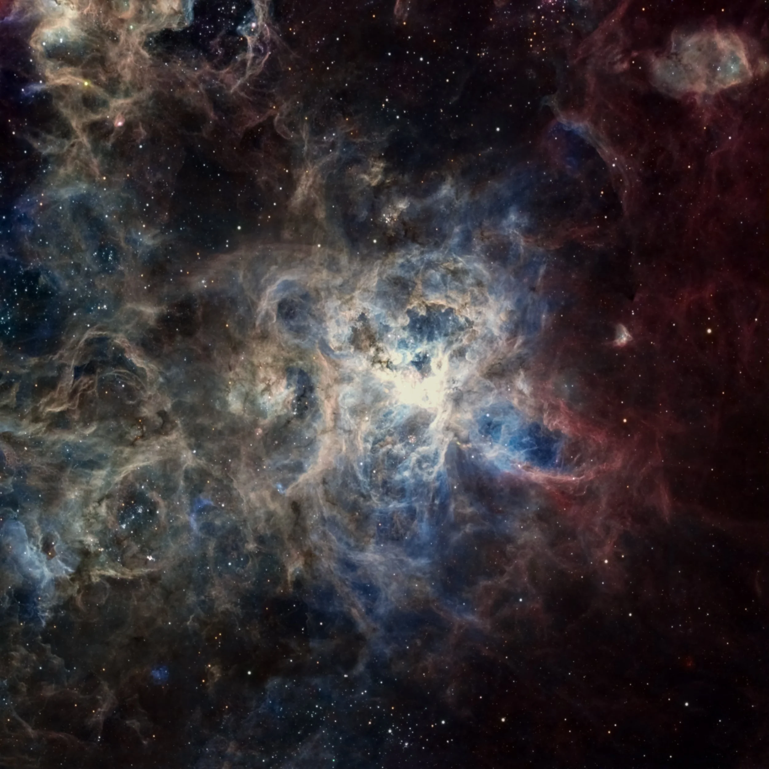 The Tarantula Nebula.jpg