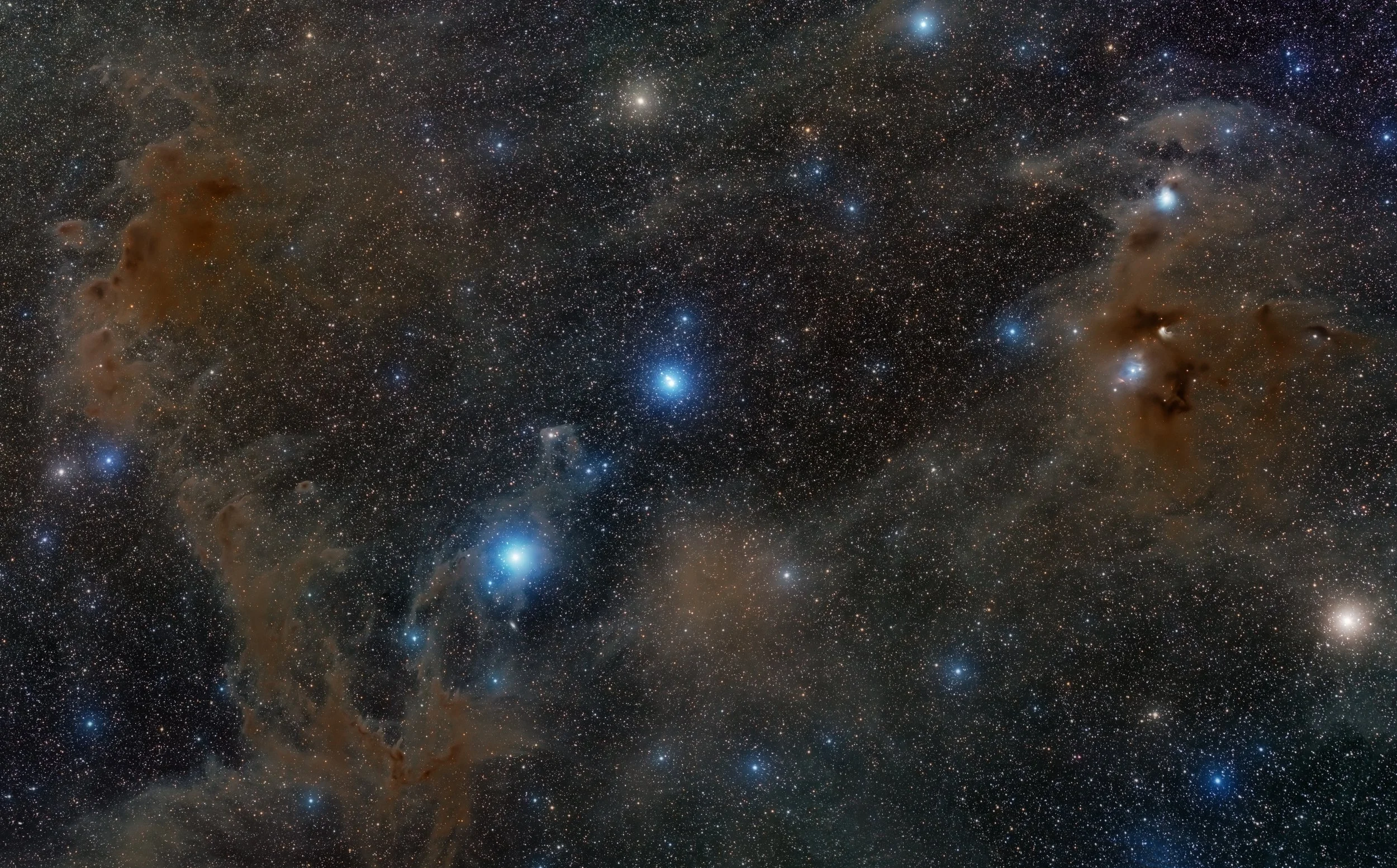 Chamaeleon Dark Cloud Complex.jpg