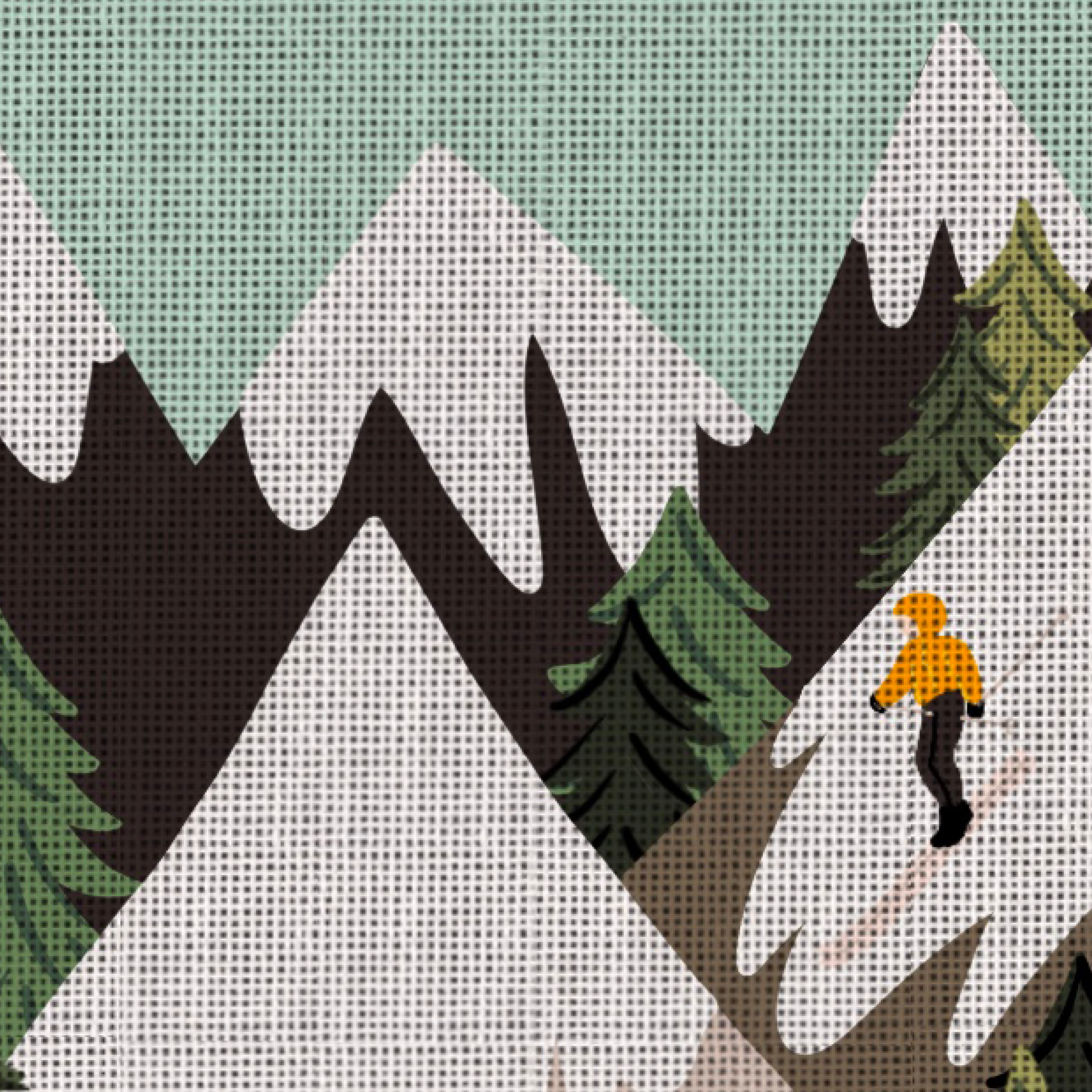 ski-detail-2.png