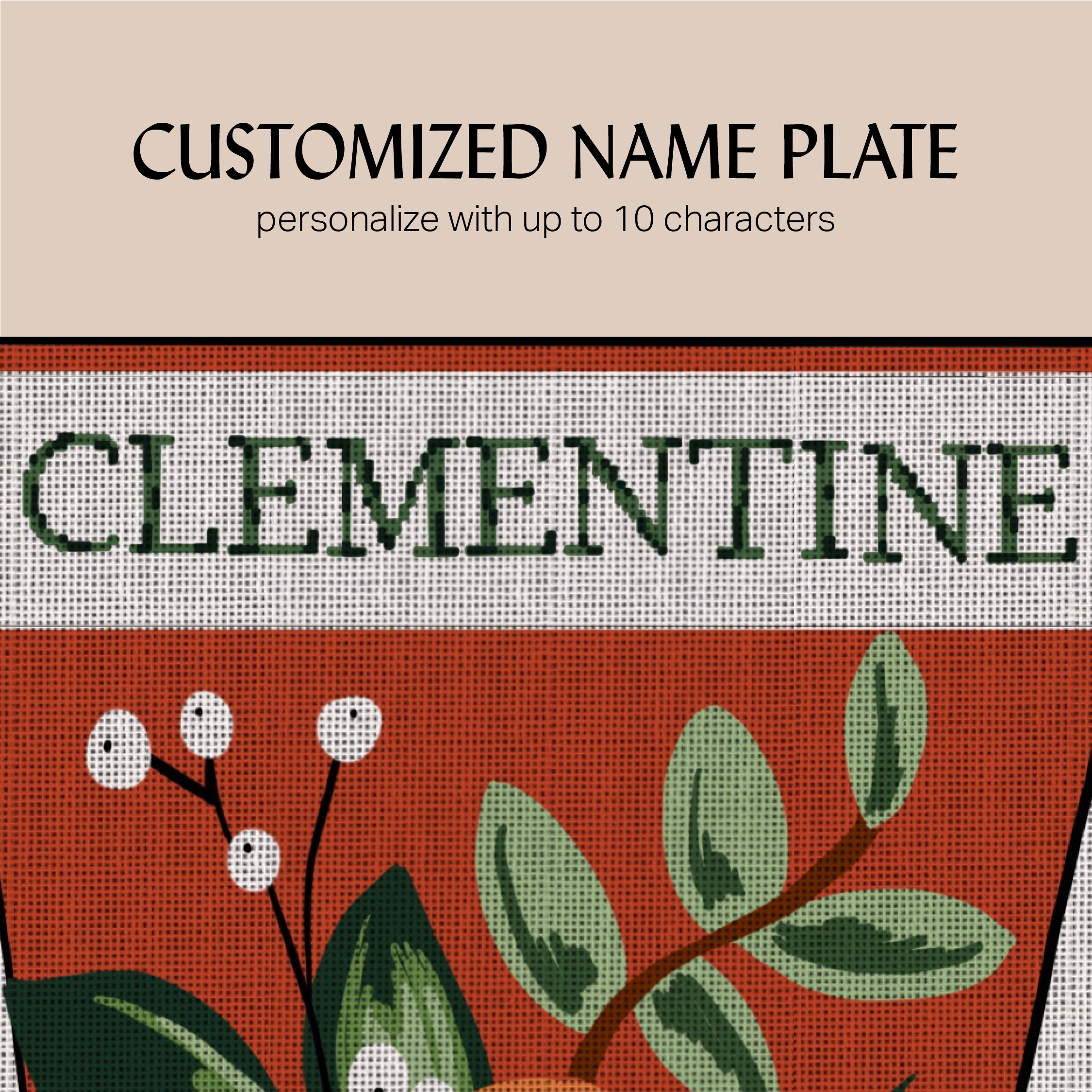 clementine-np.png