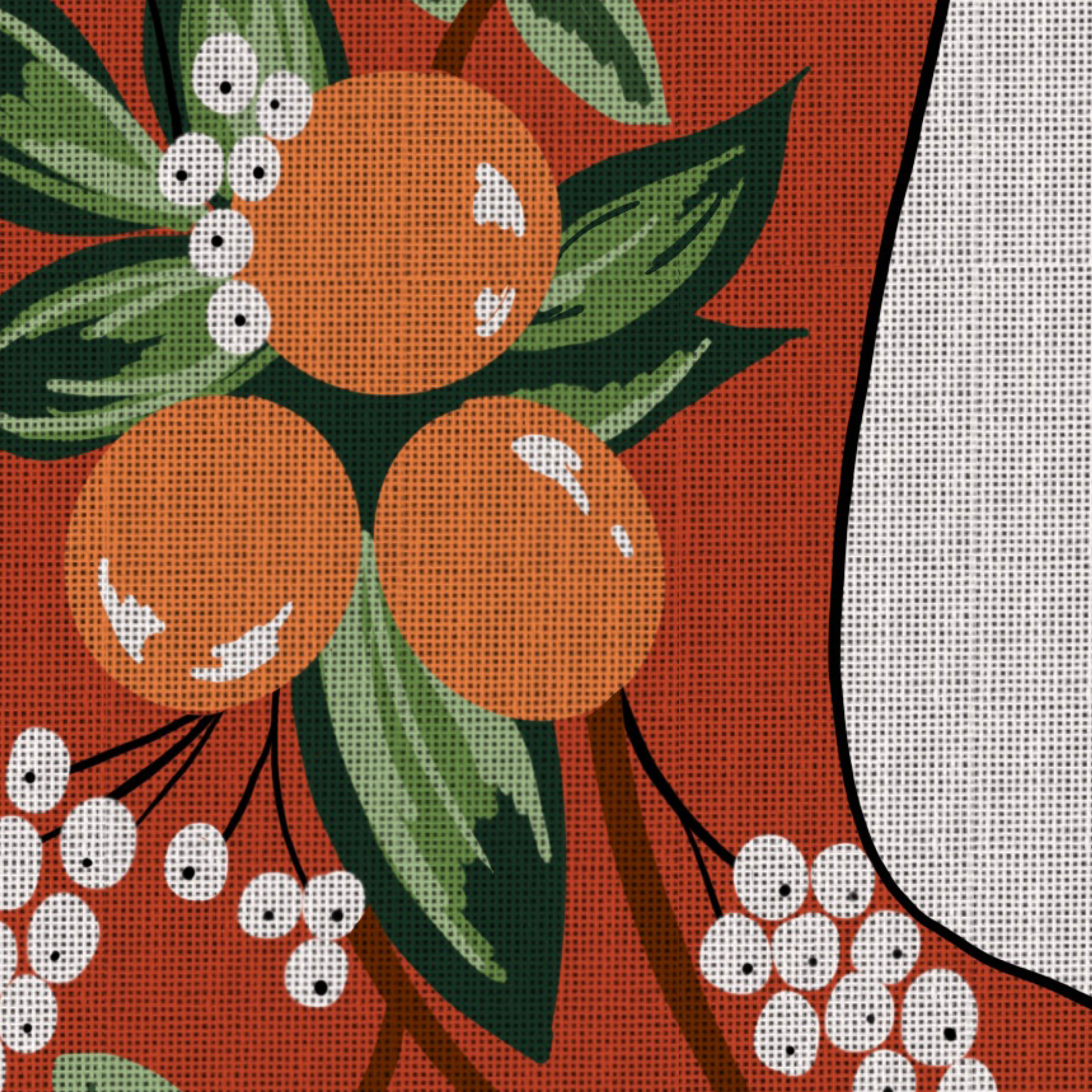 clementine-details-1.png