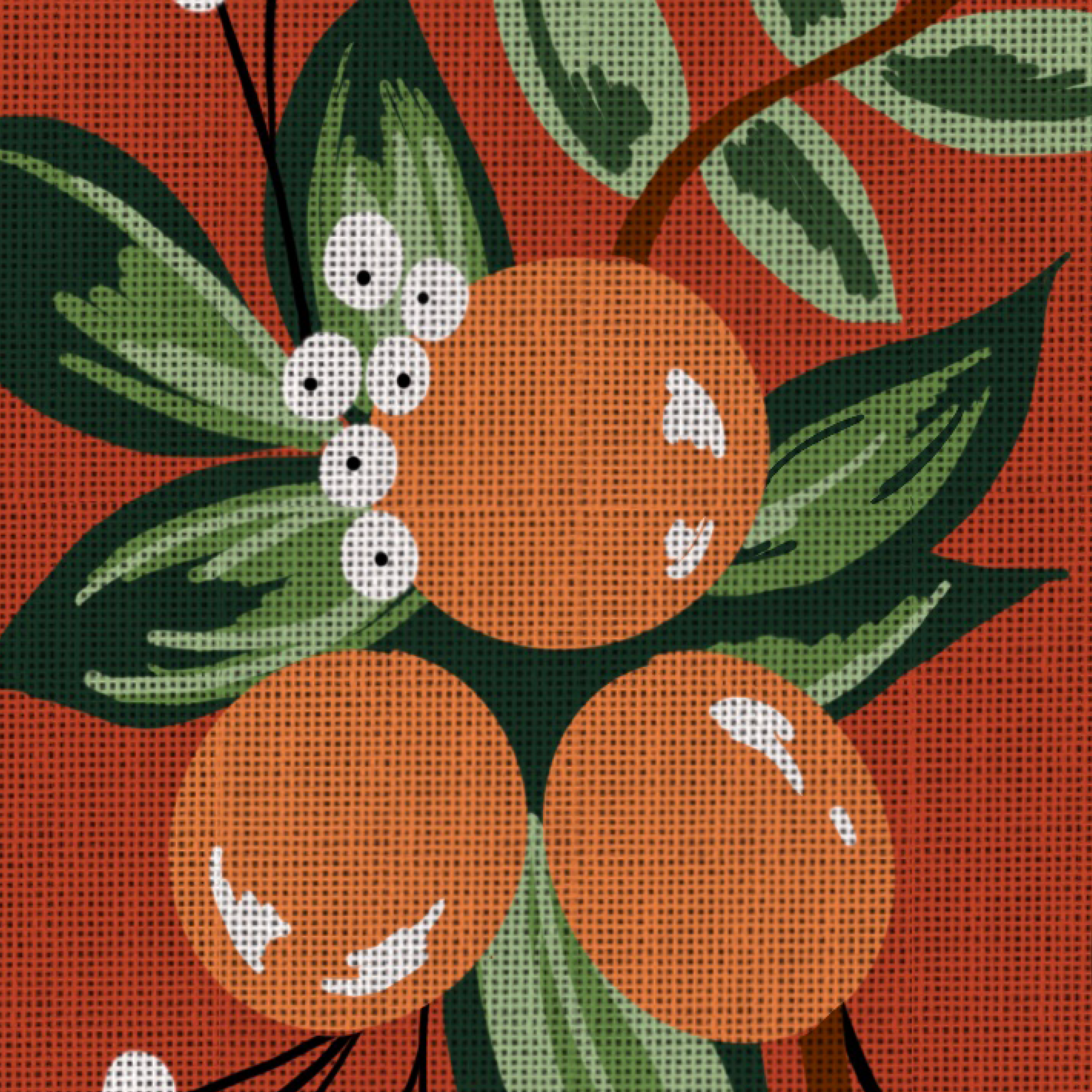 clementine-details-2.png
