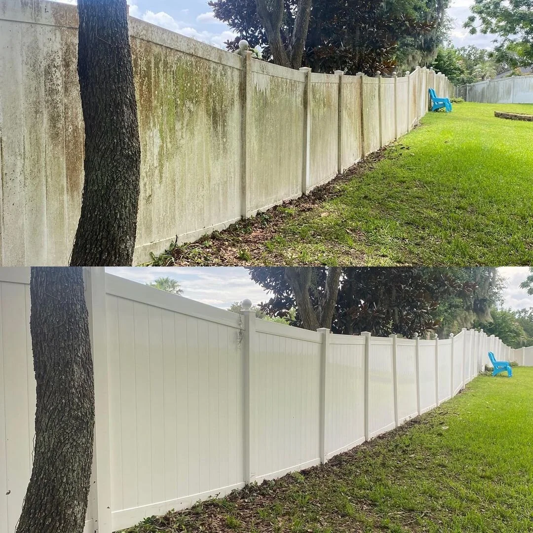 Fence.jpg